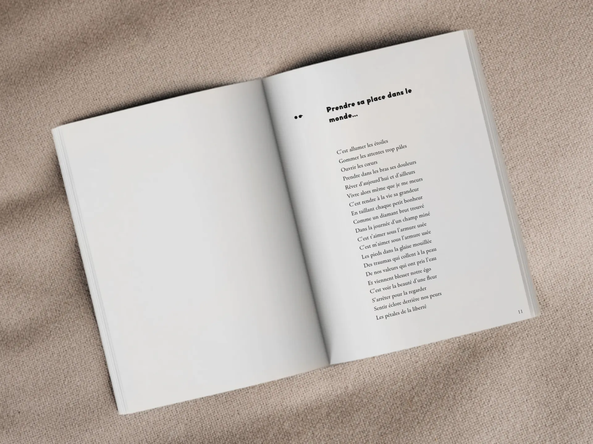 Cover of the book