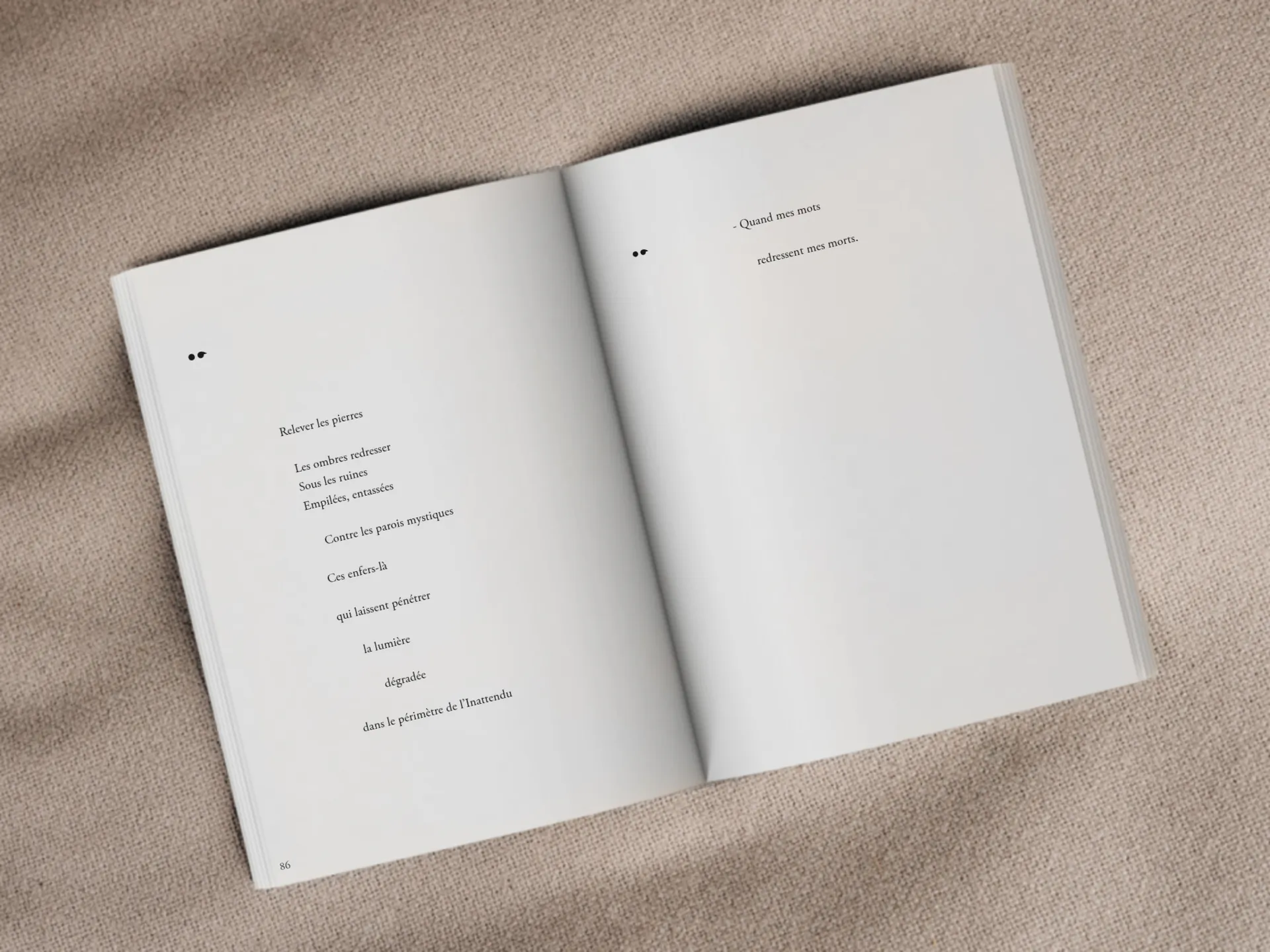 Cover of the book