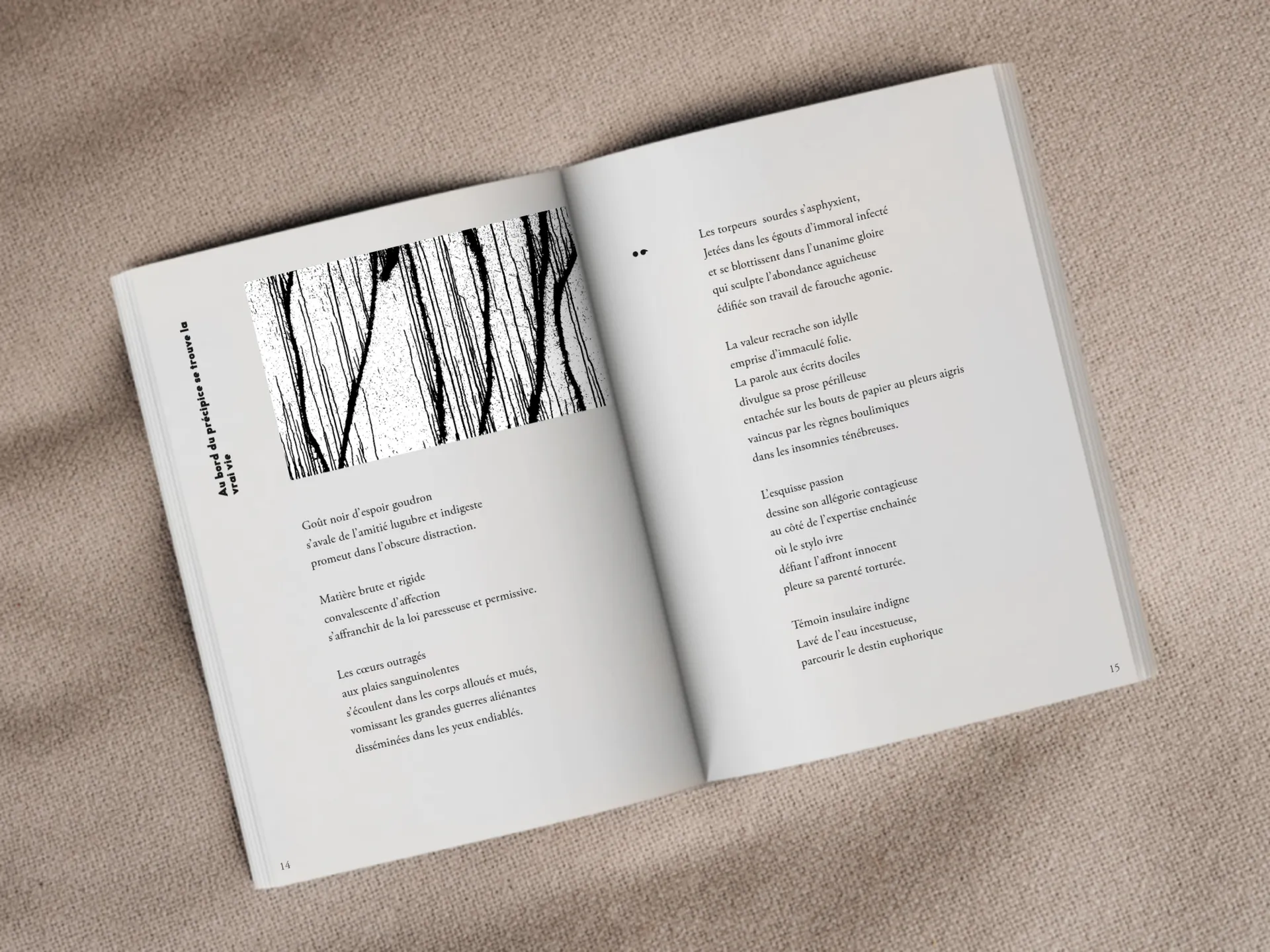 Cover of the book