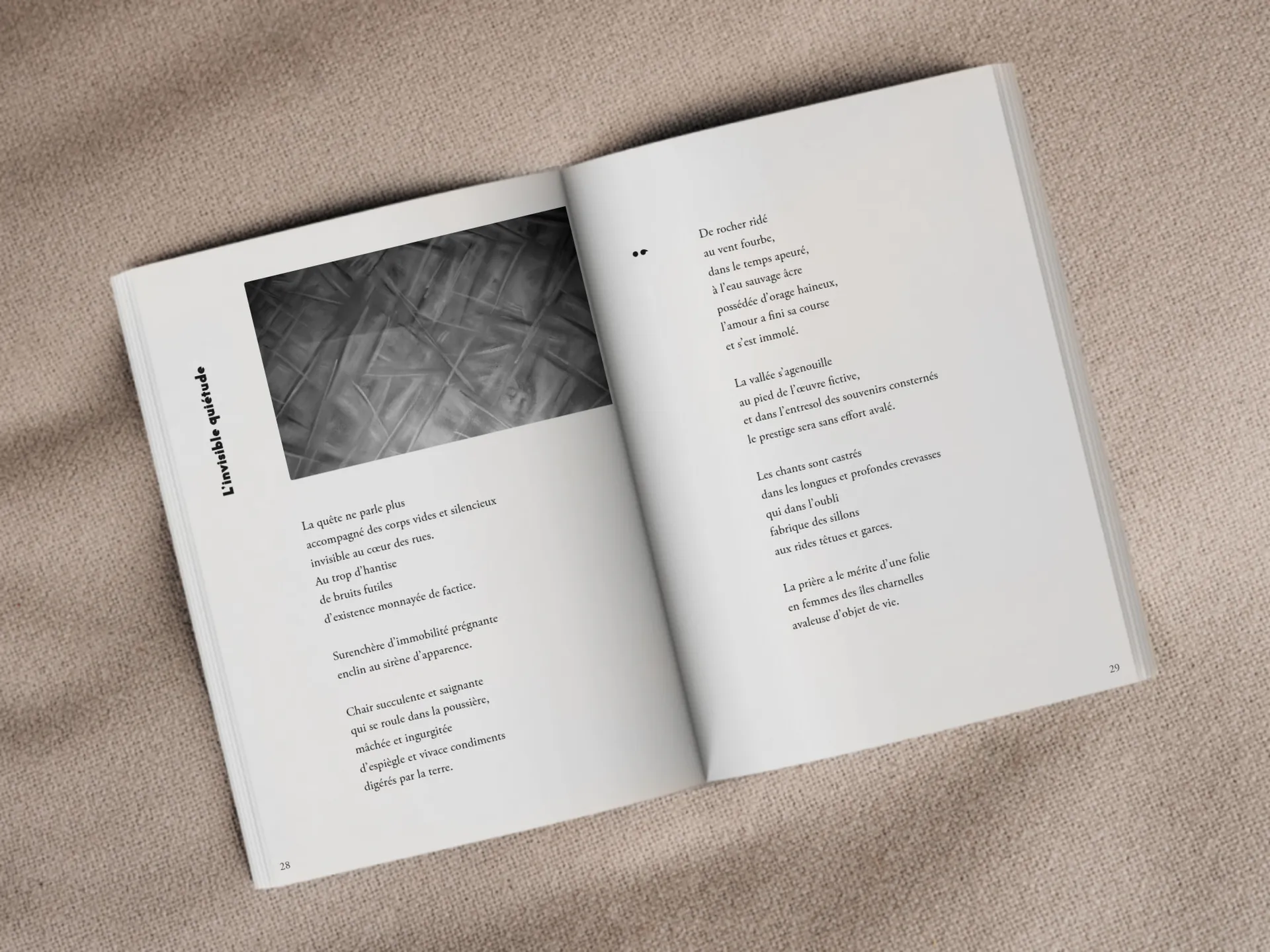 Cover of the book