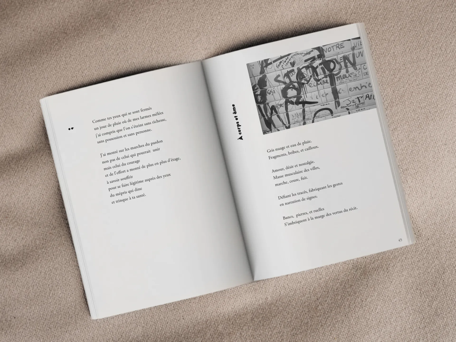 Cover of the book