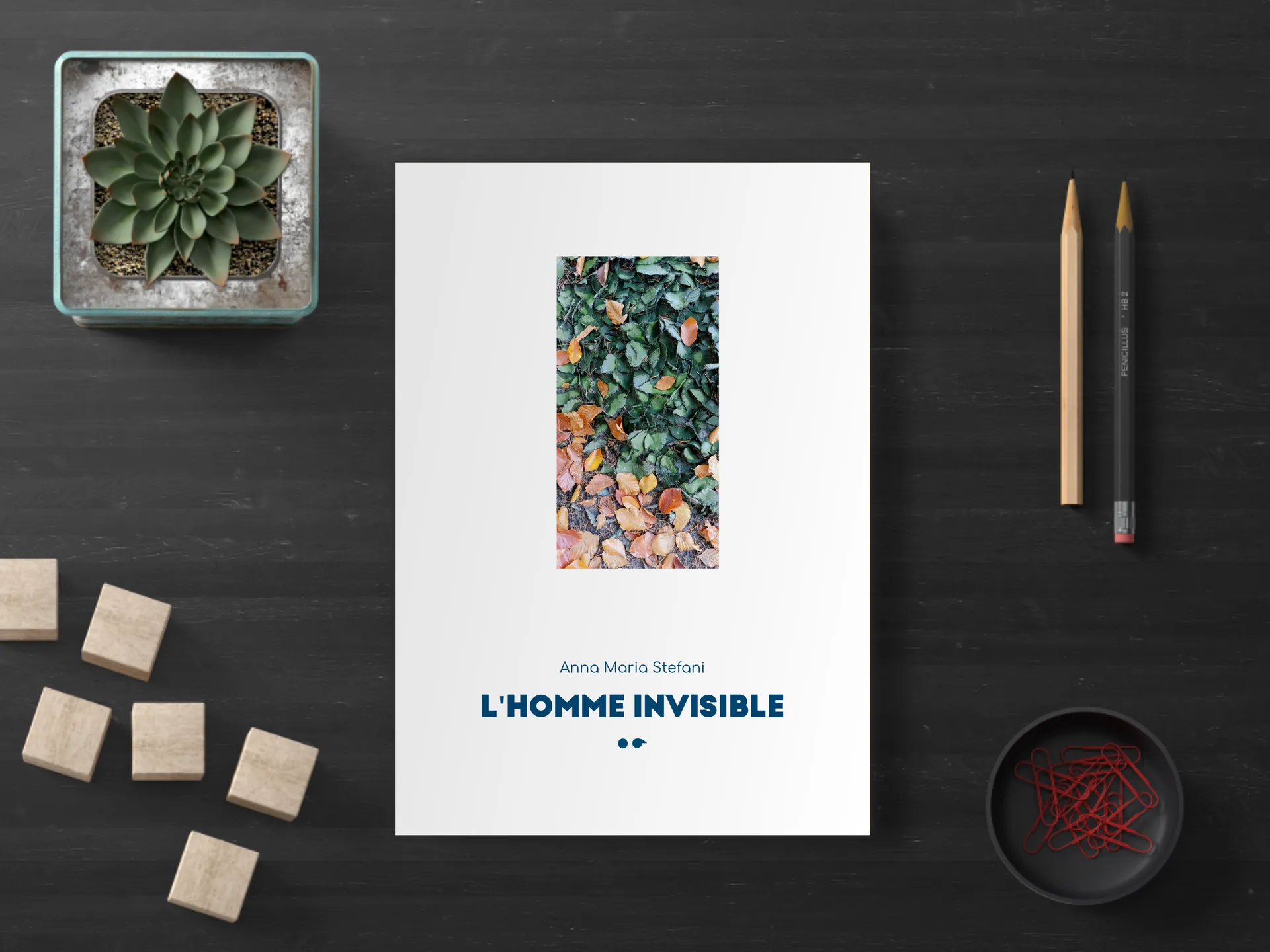 Cover of the book
