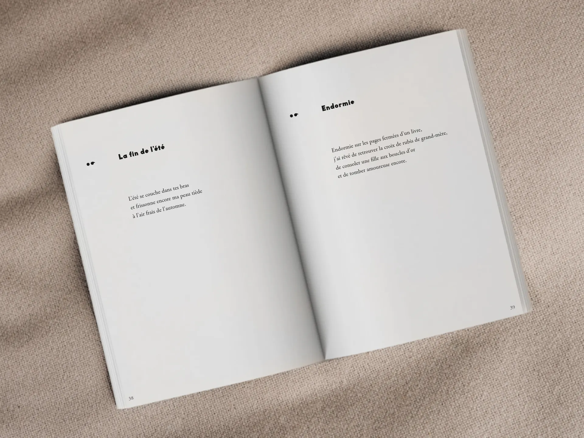 Cover of the book