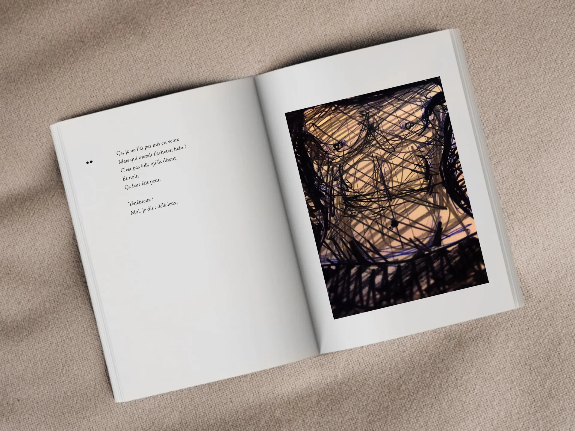 Cover of the book