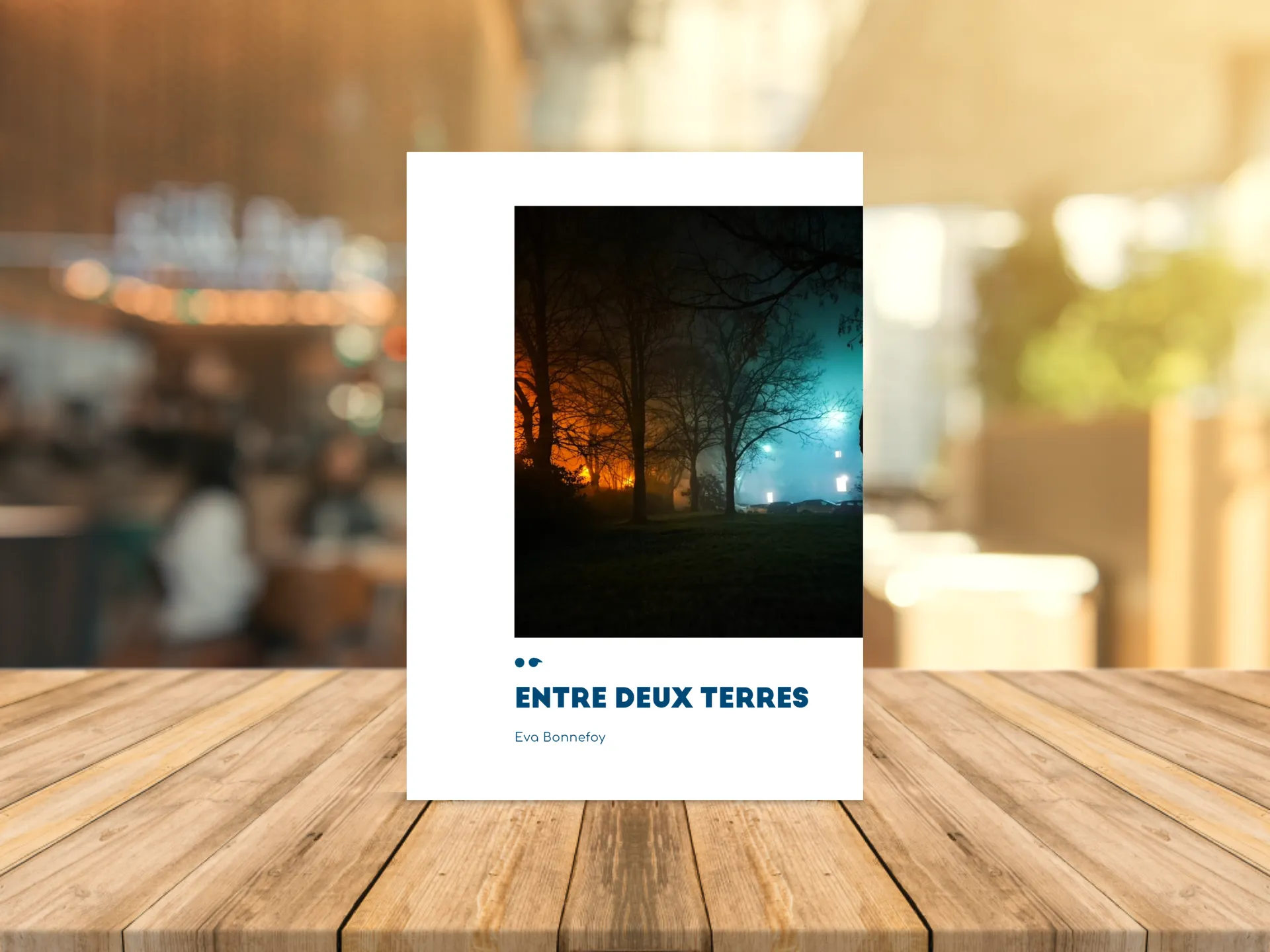 Cover of the book