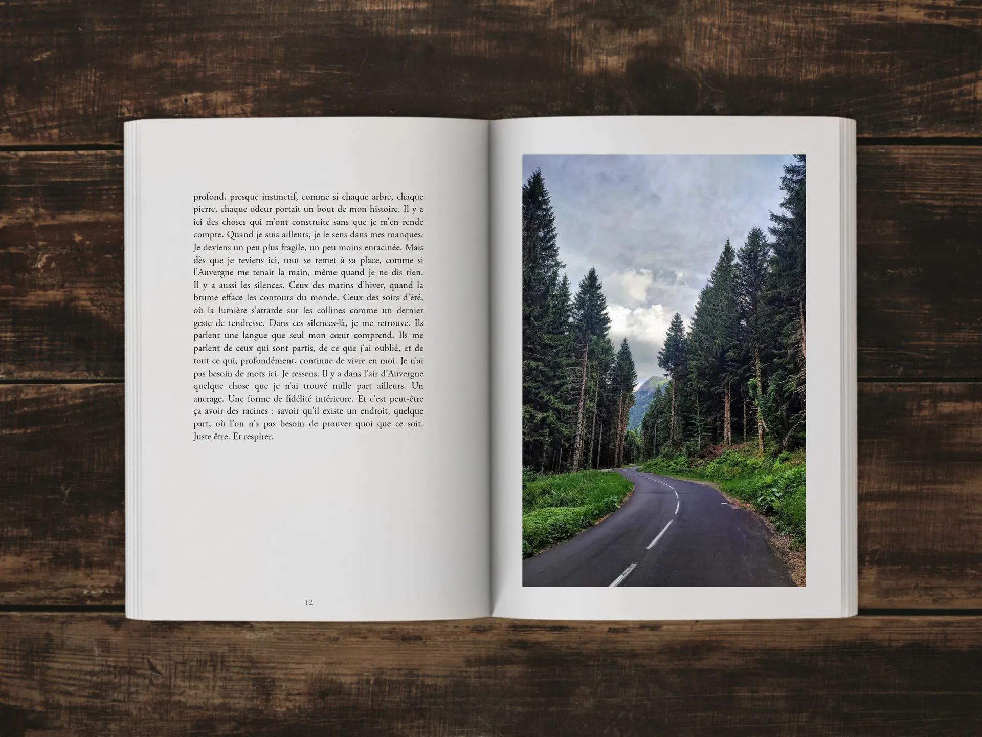 Cover of the book