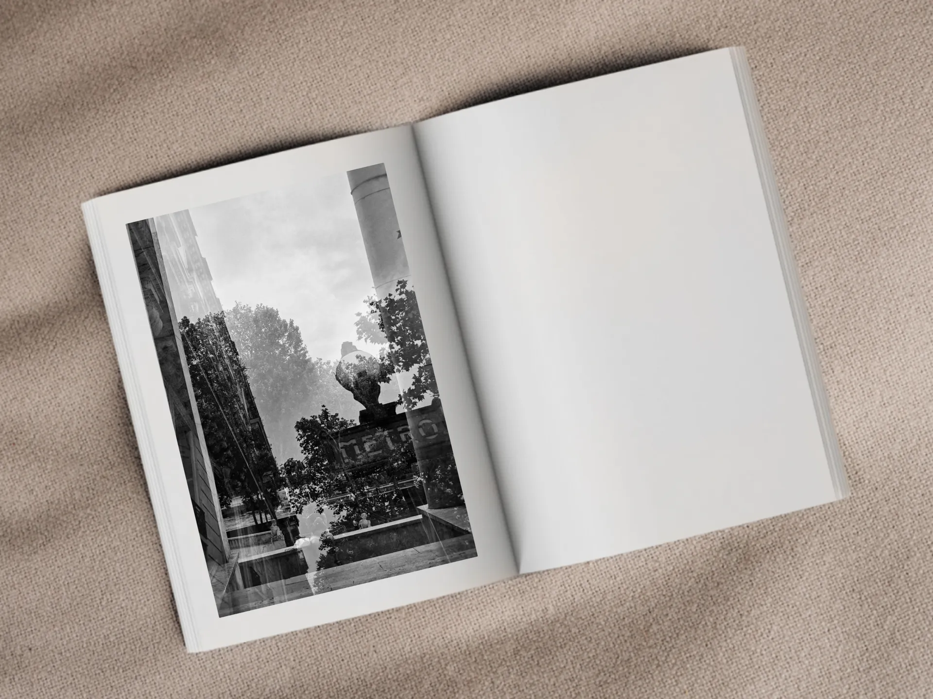 Cover of the book