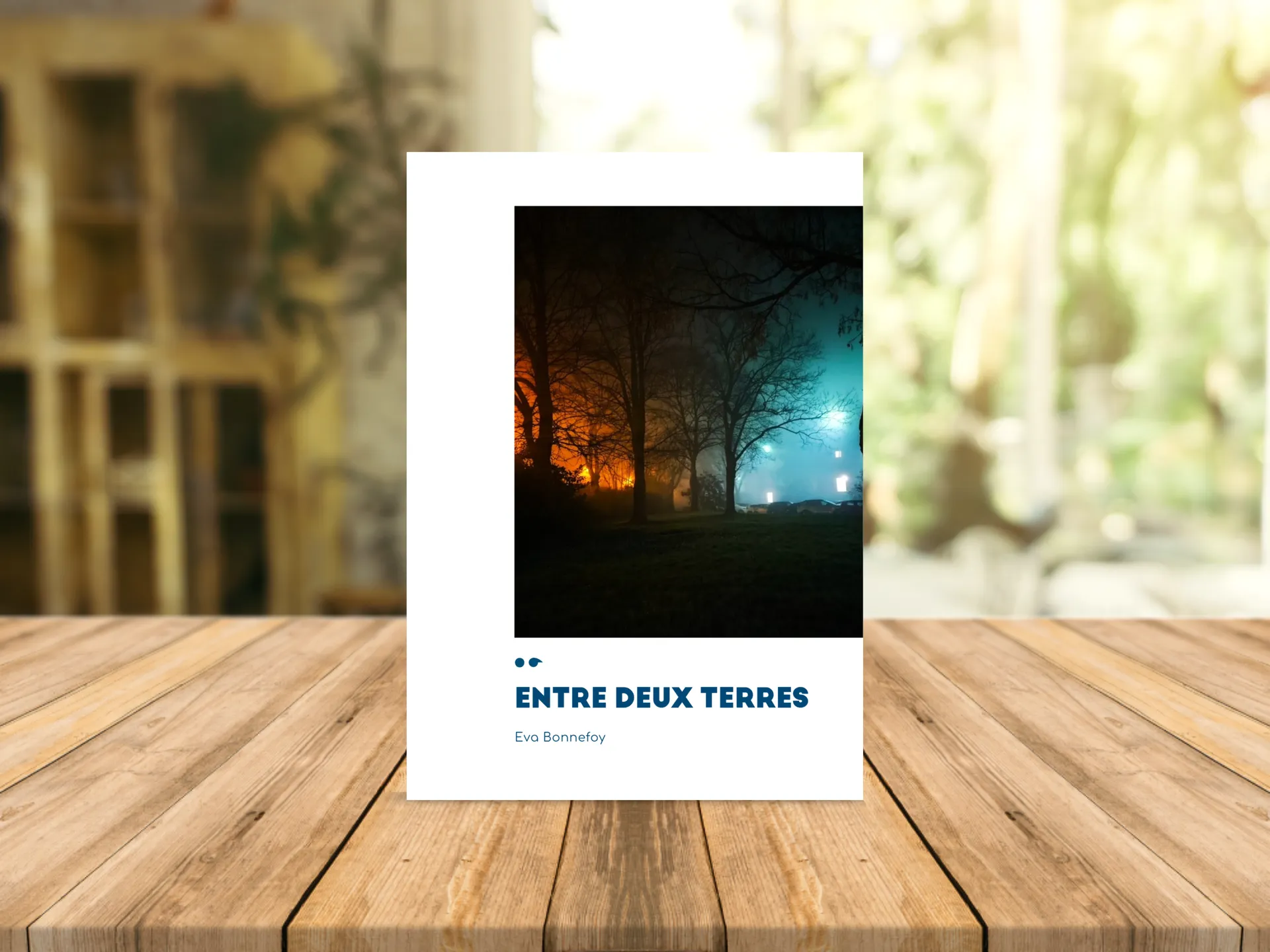 Cover of the book