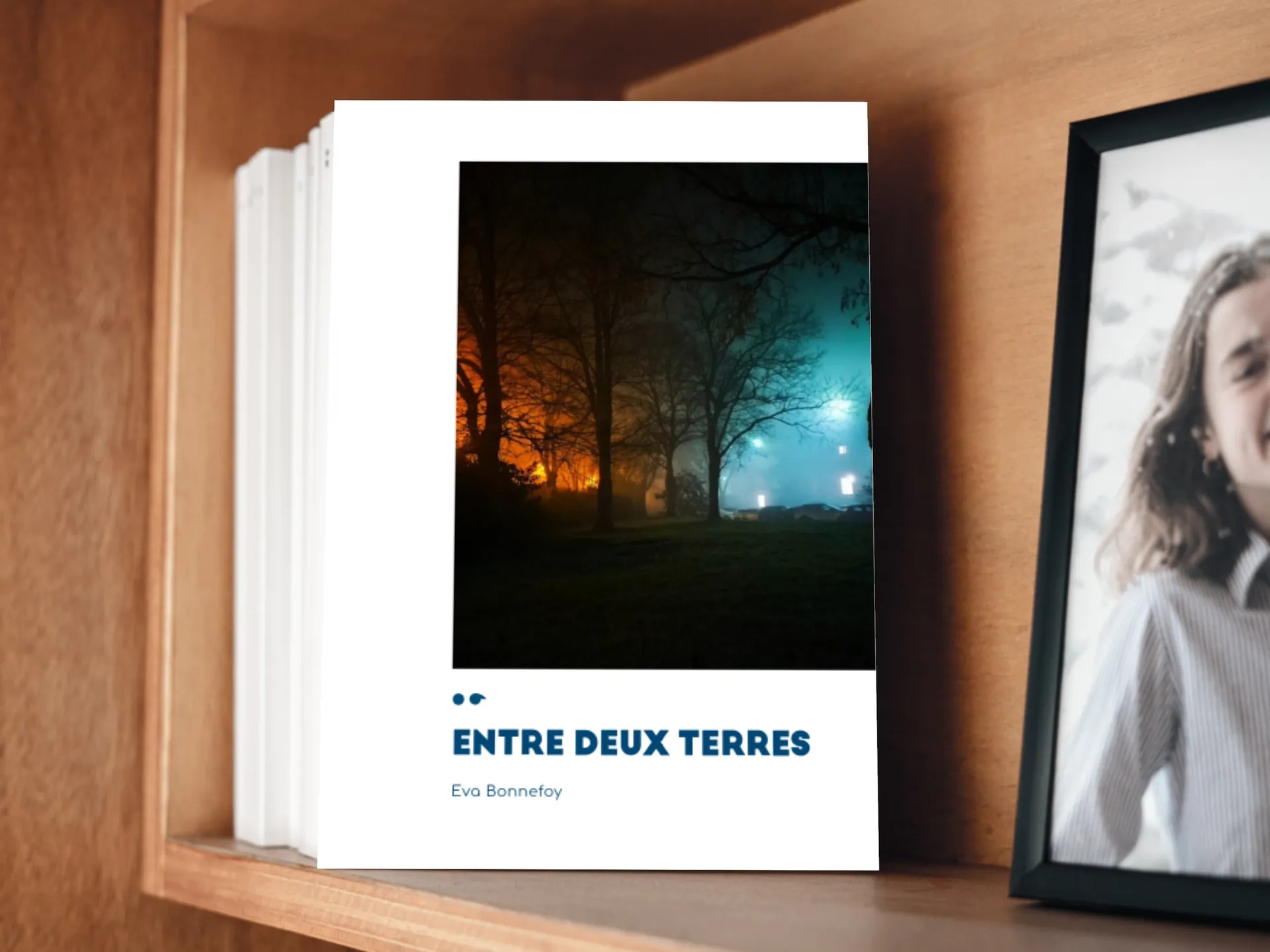 Cover of the book