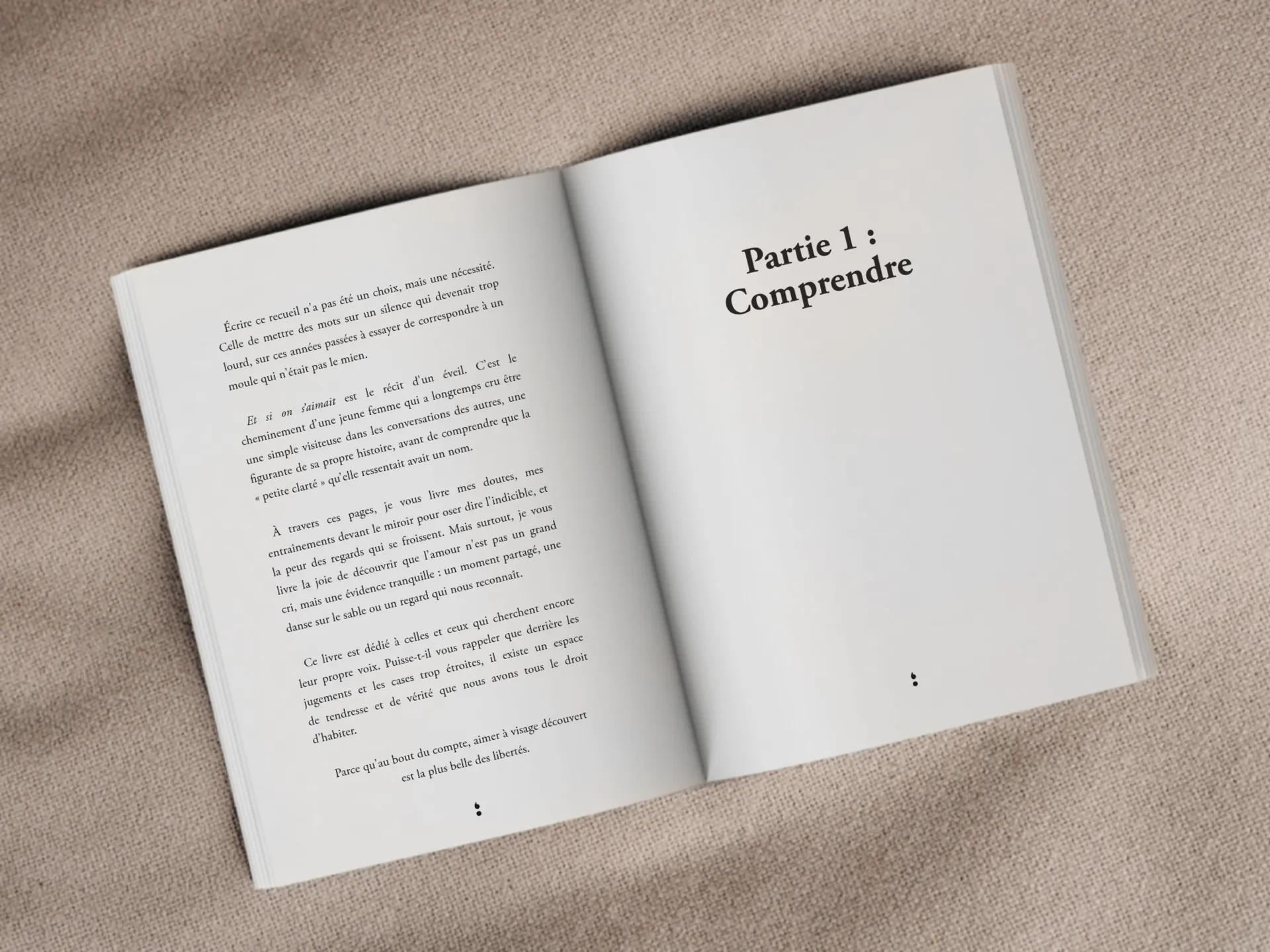 Cover of the book