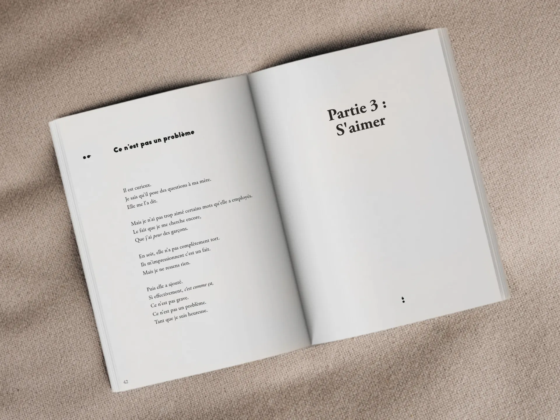 Cover of the book