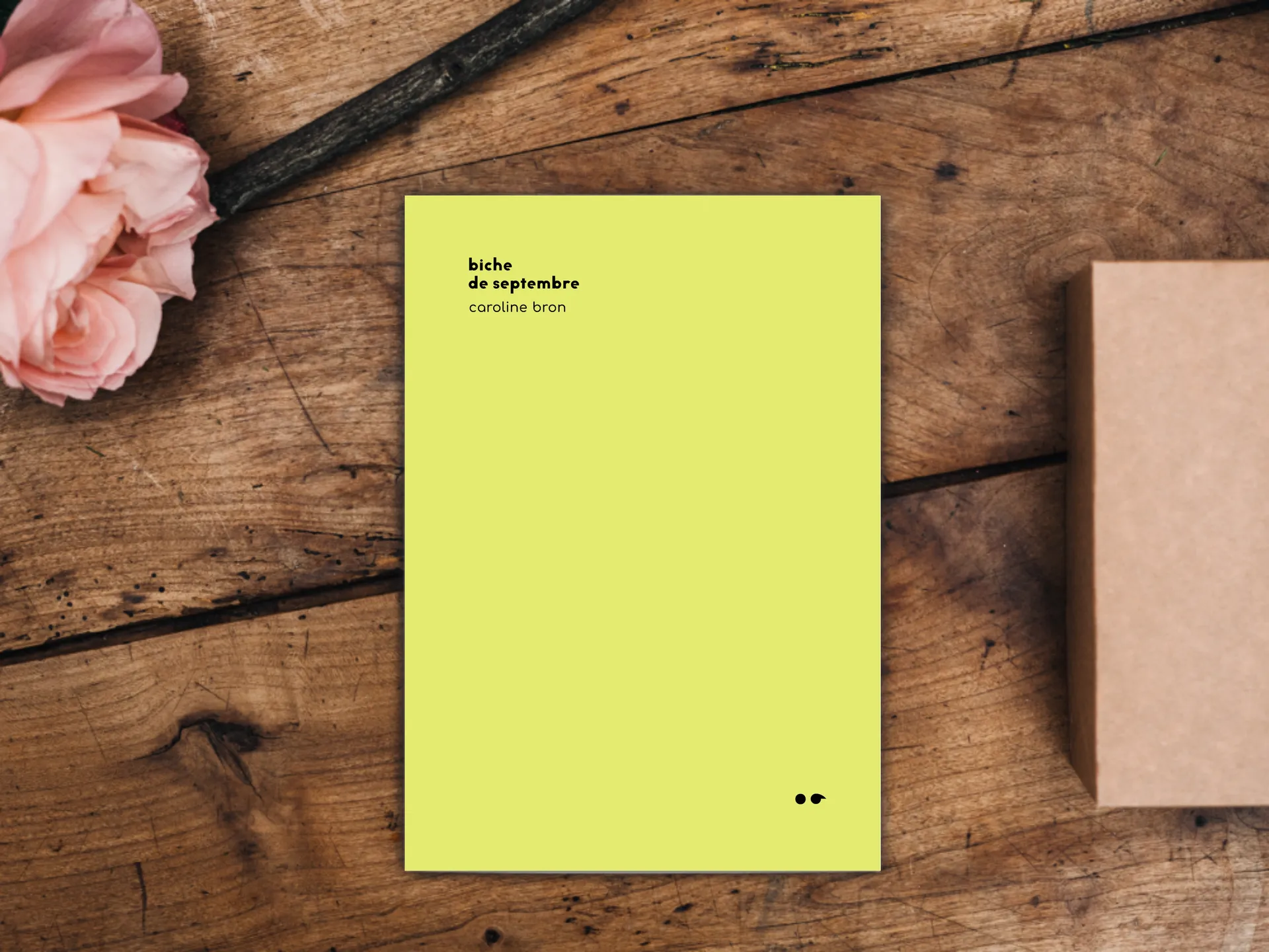 Cover of the book