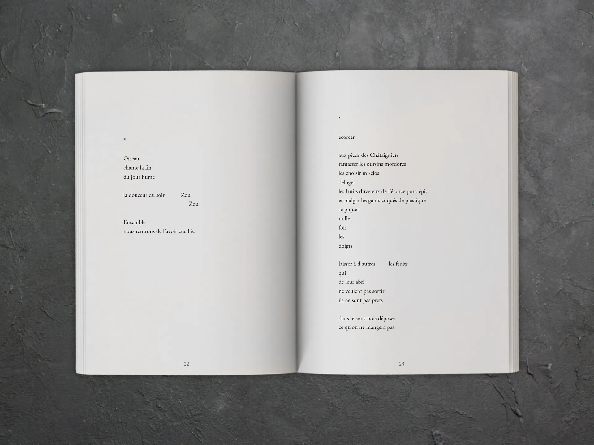 Cover of the book
