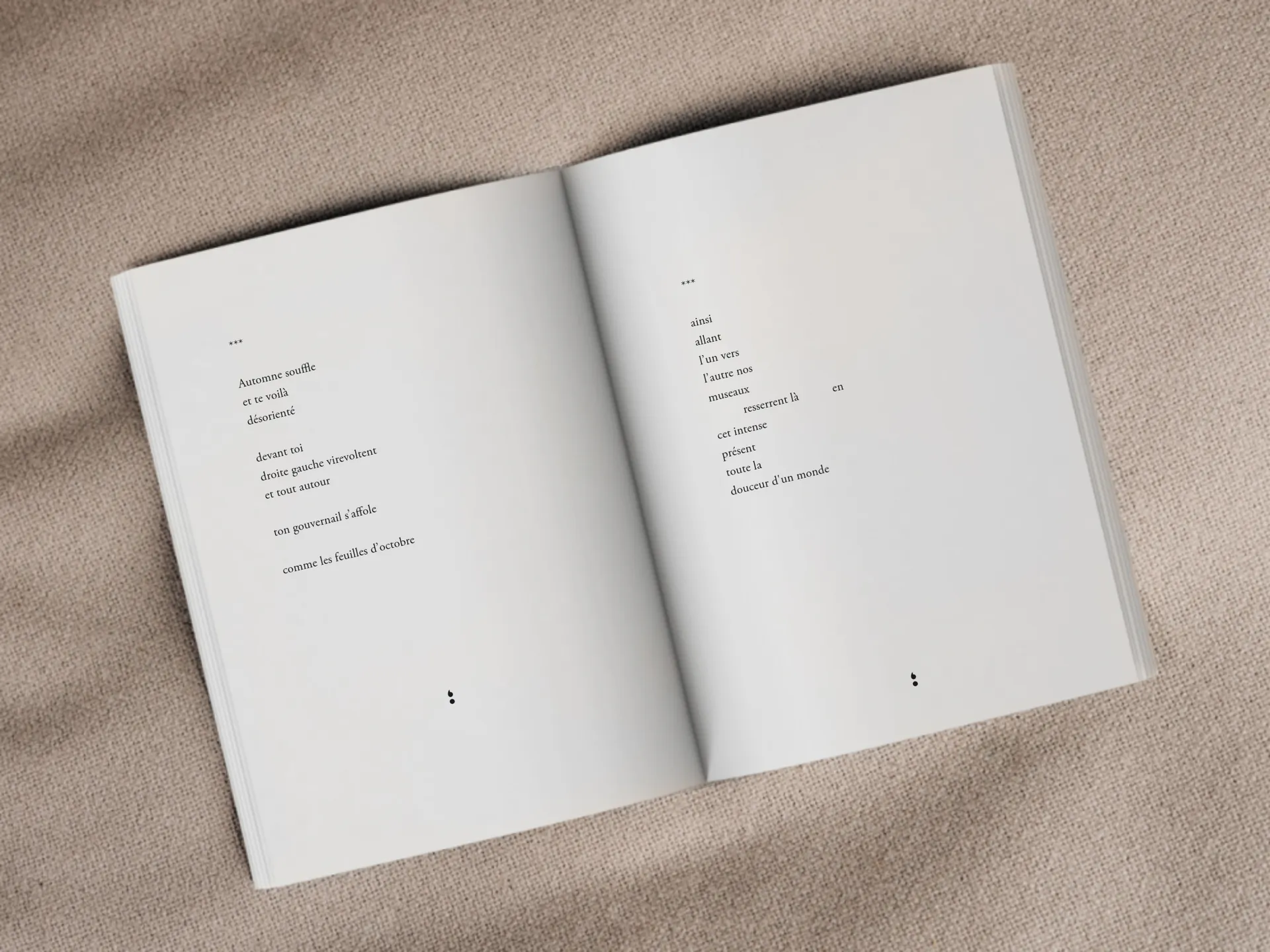 Cover of the book