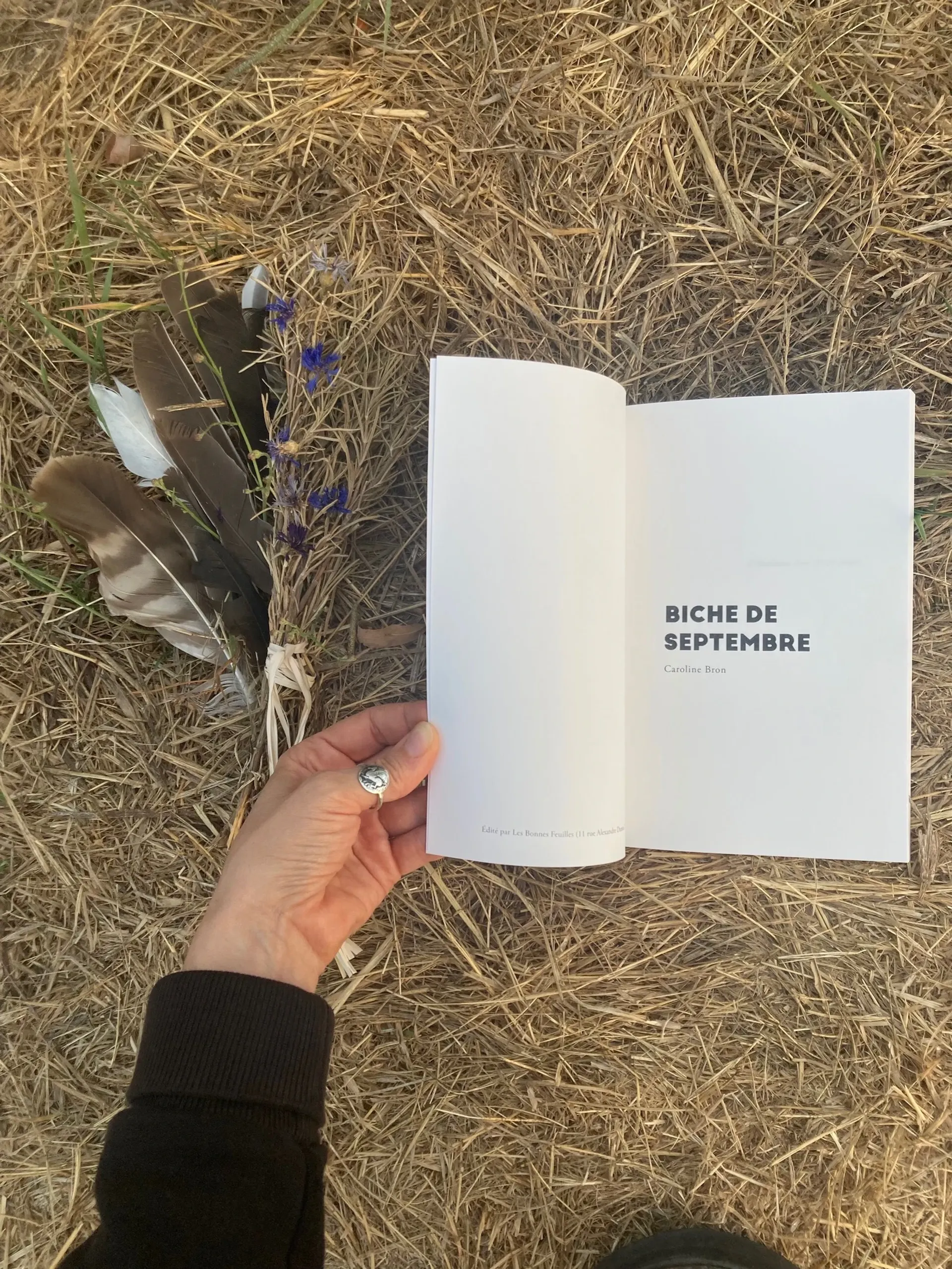Cover of the book