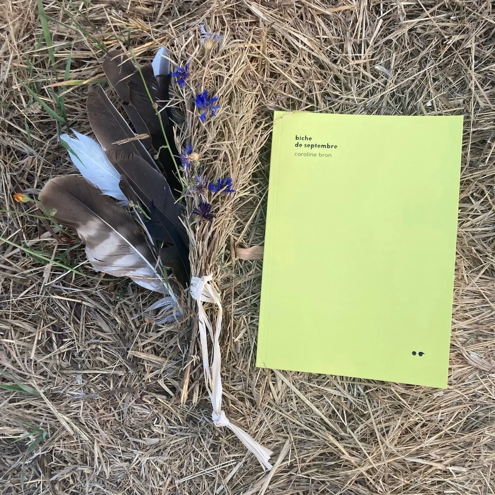Cover of the book