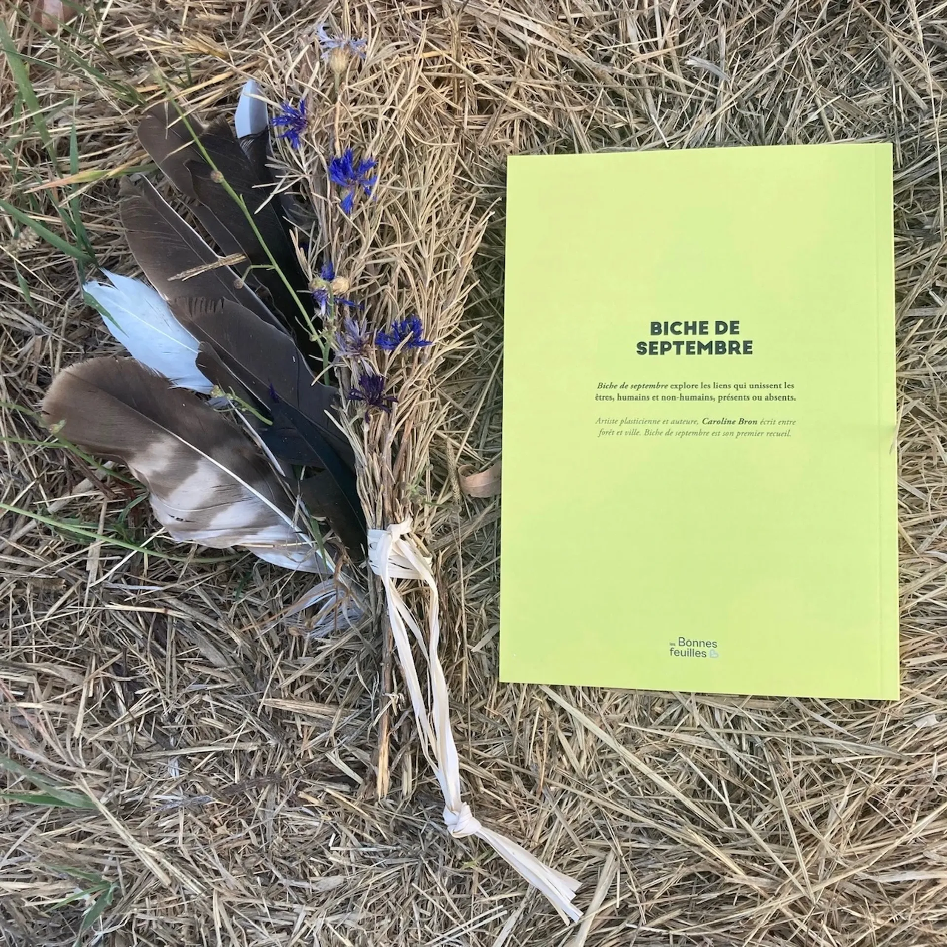 Cover of the book