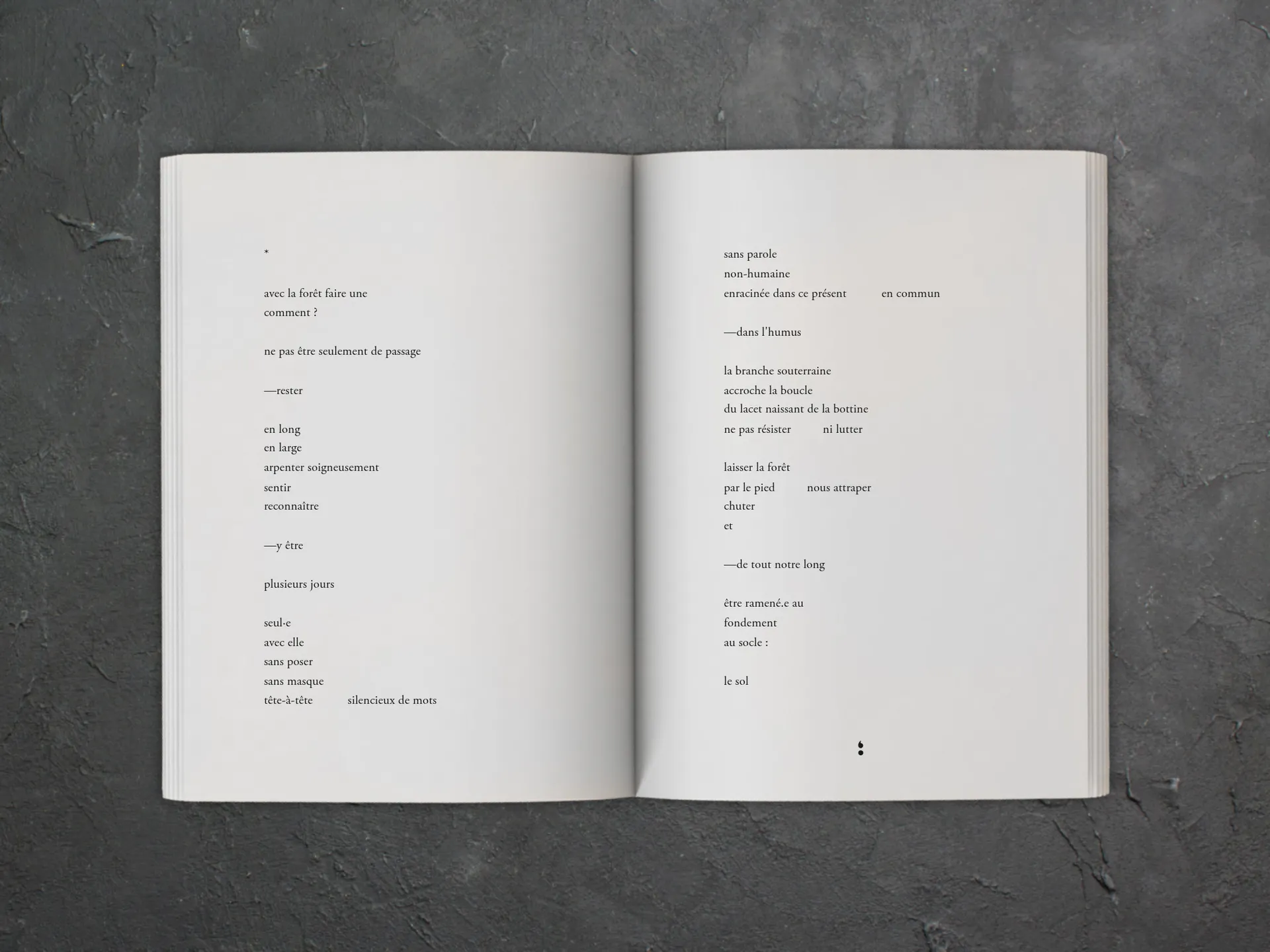 Cover of the book