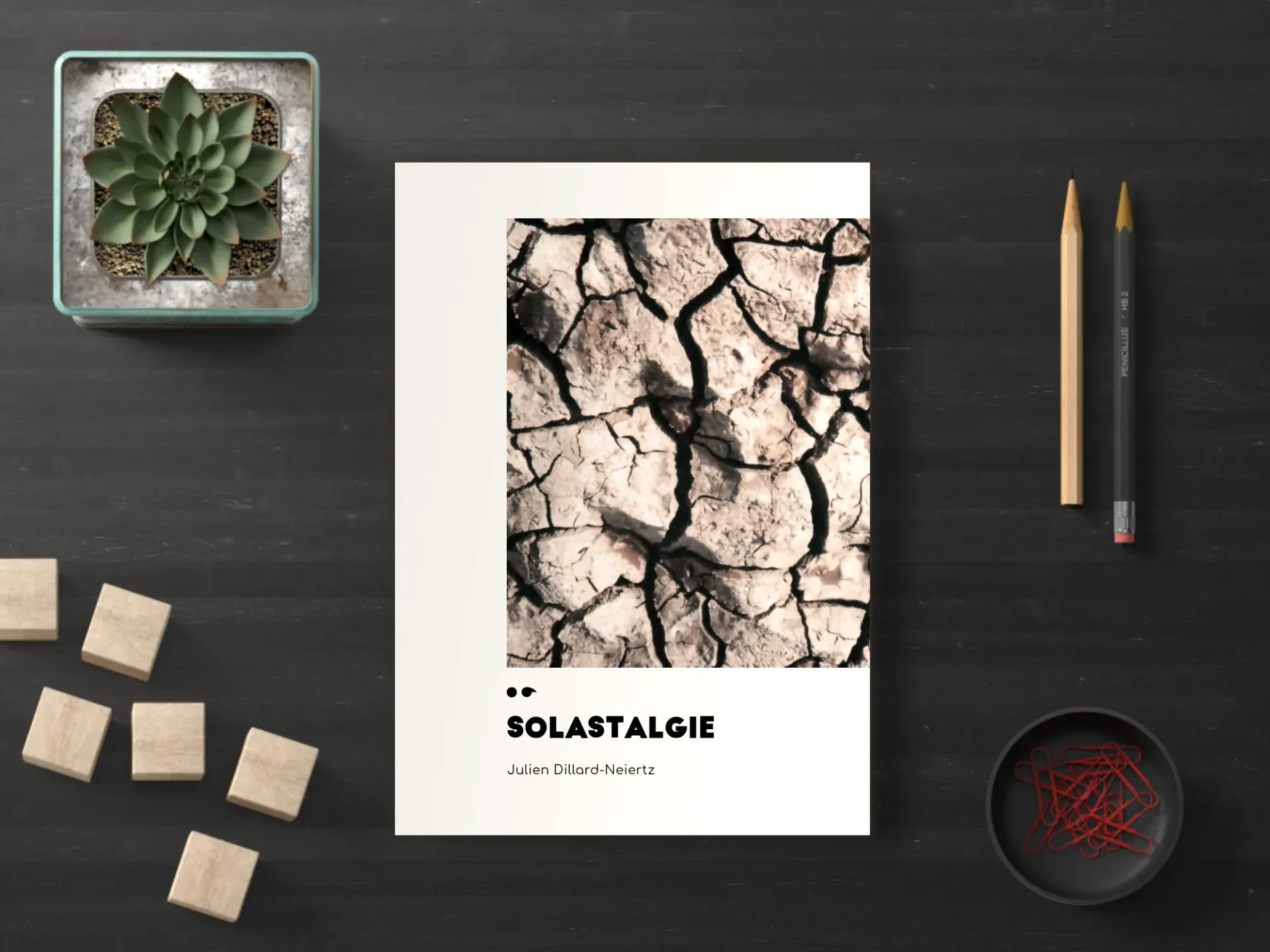 Cover of the book