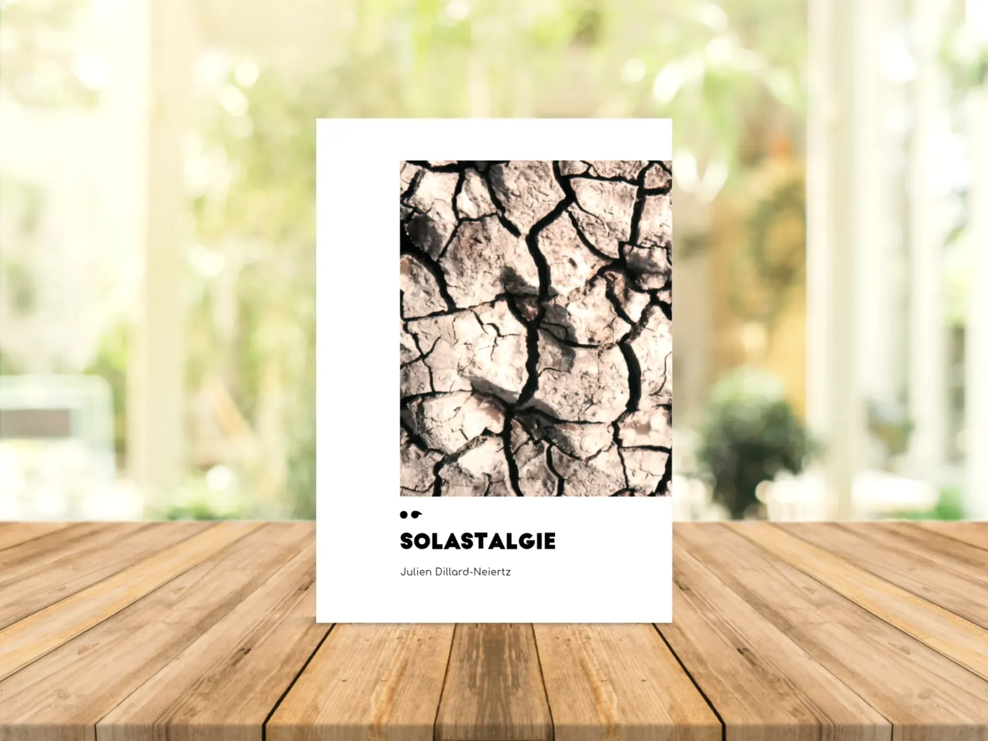 Cover of the book