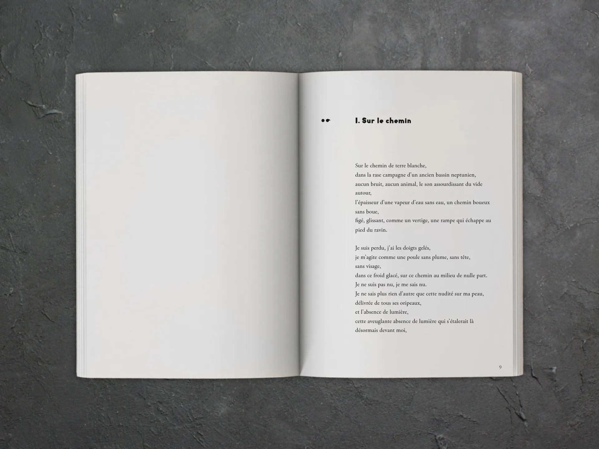 Cover of the book