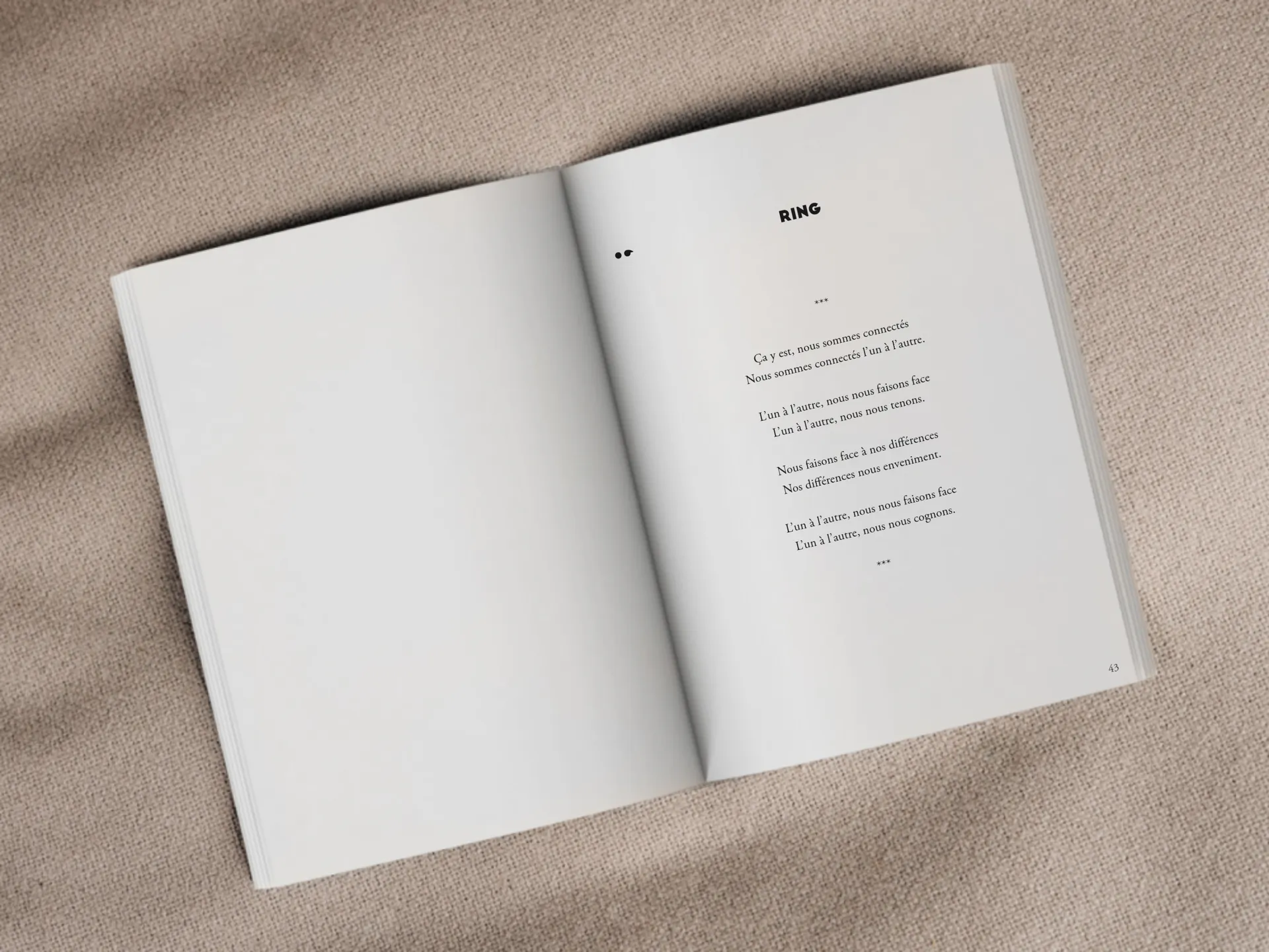 Cover of the book