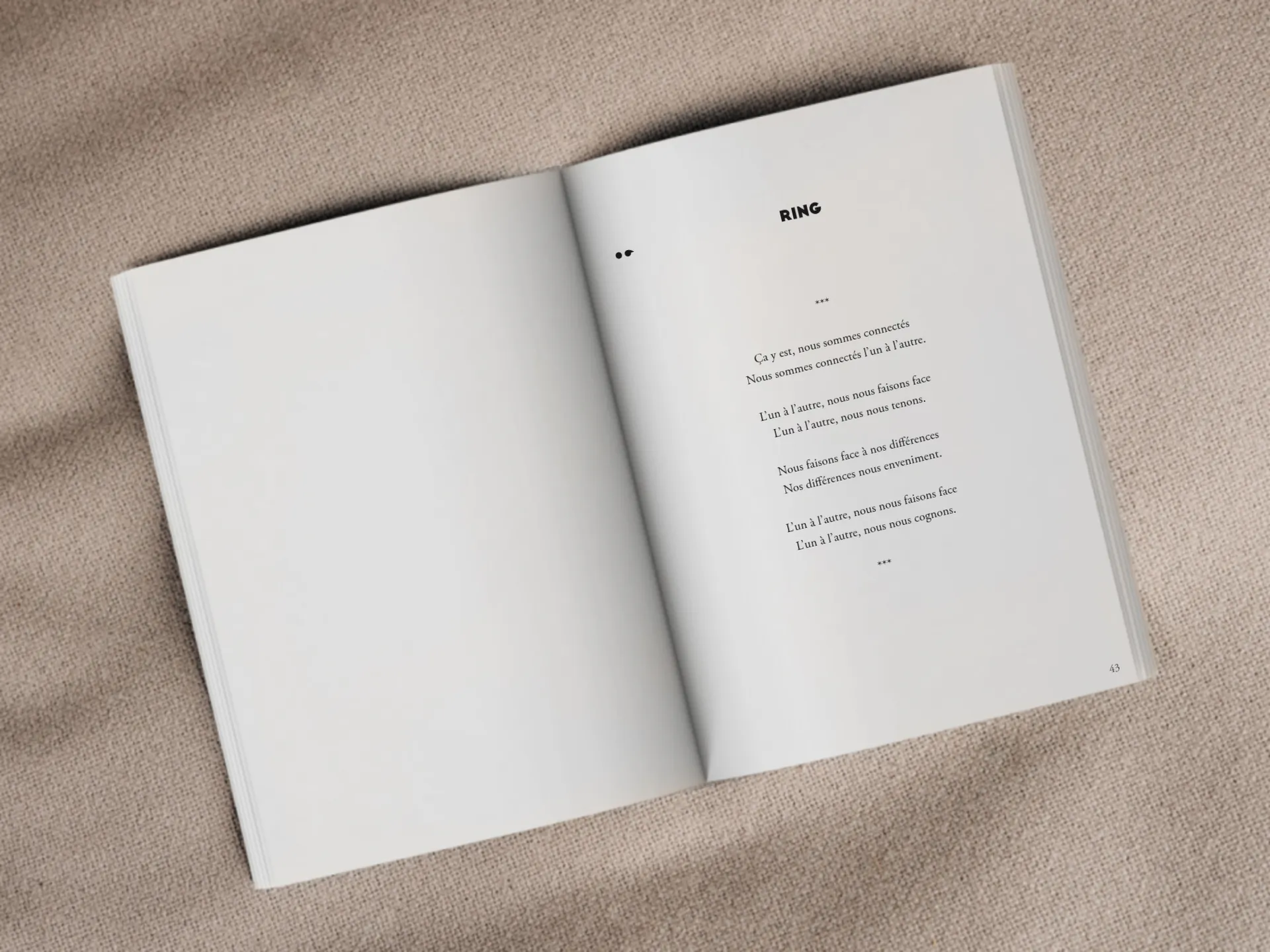 Cover of the book