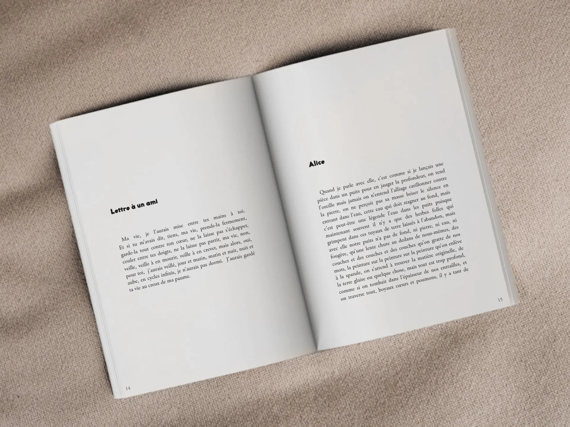 Cover of the book