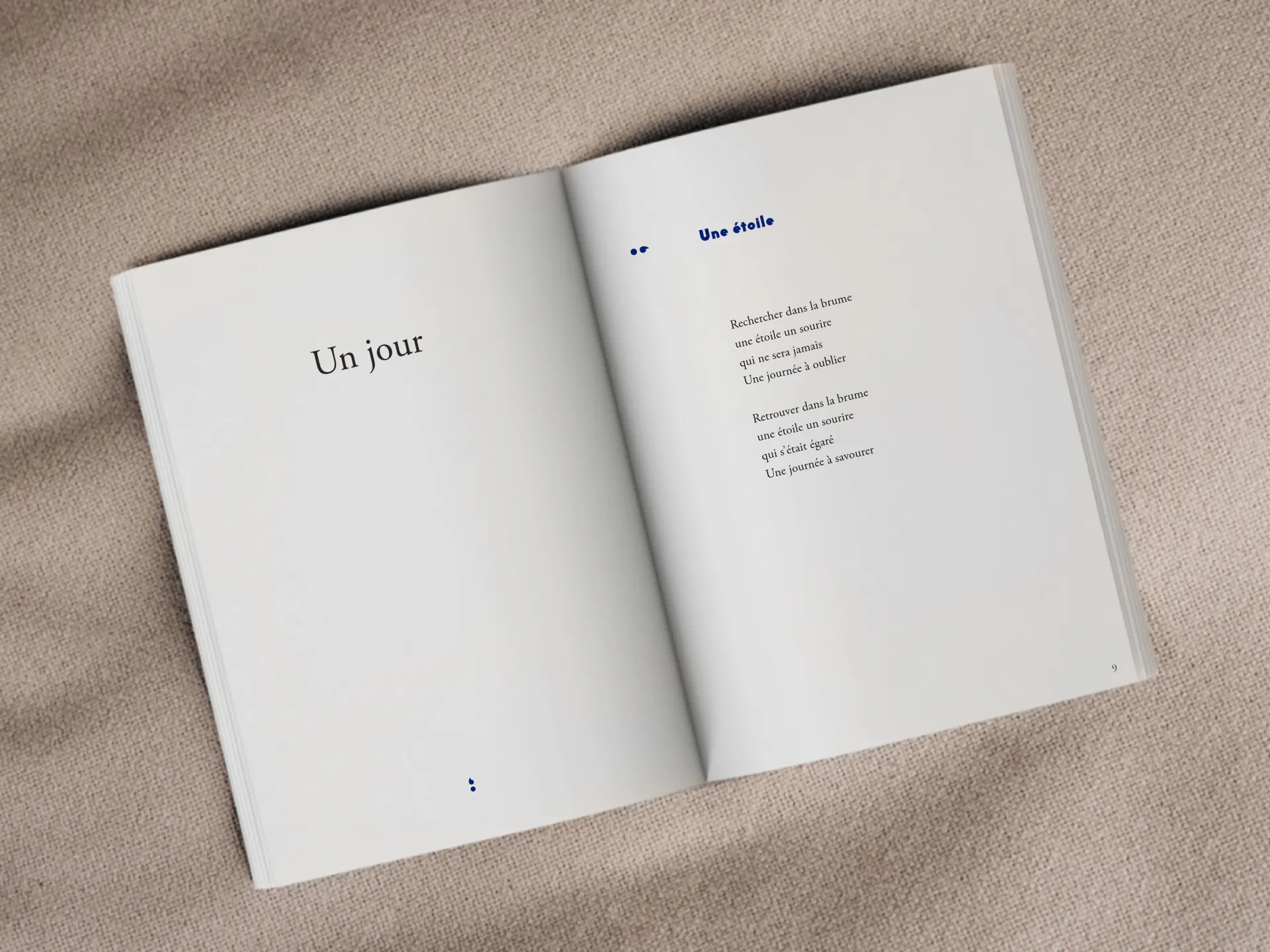 Cover of the book