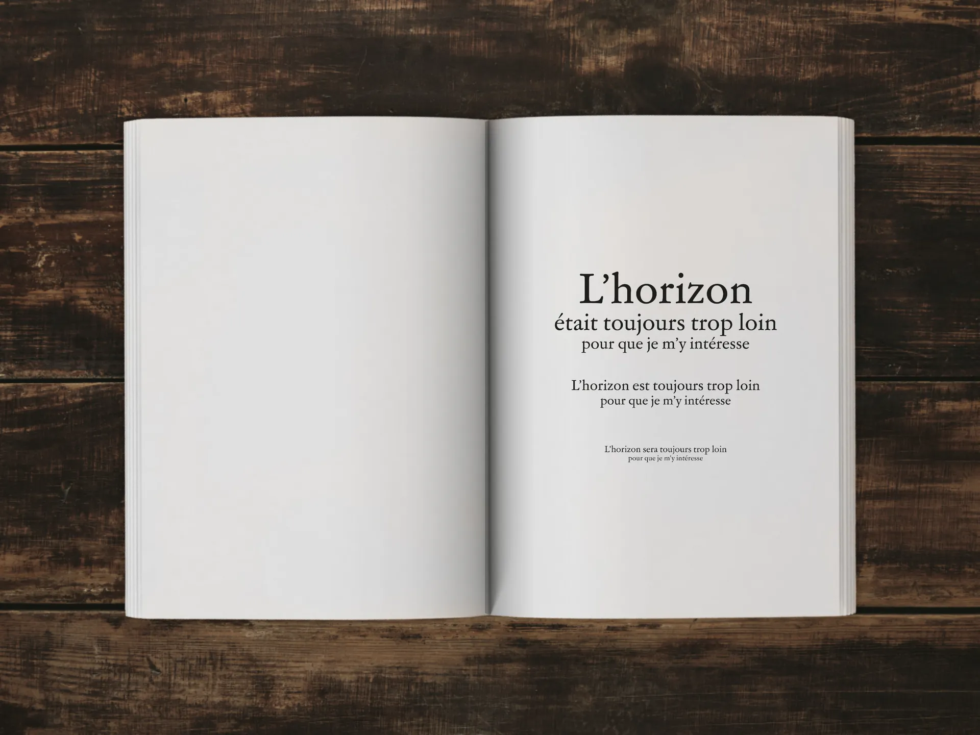 Cover of the book