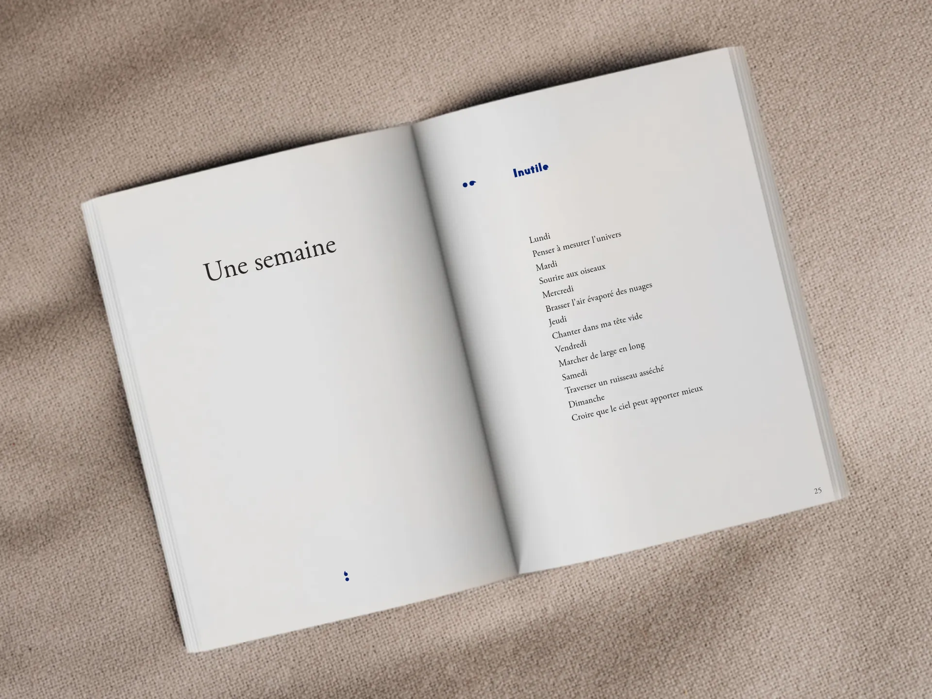 Cover of the book