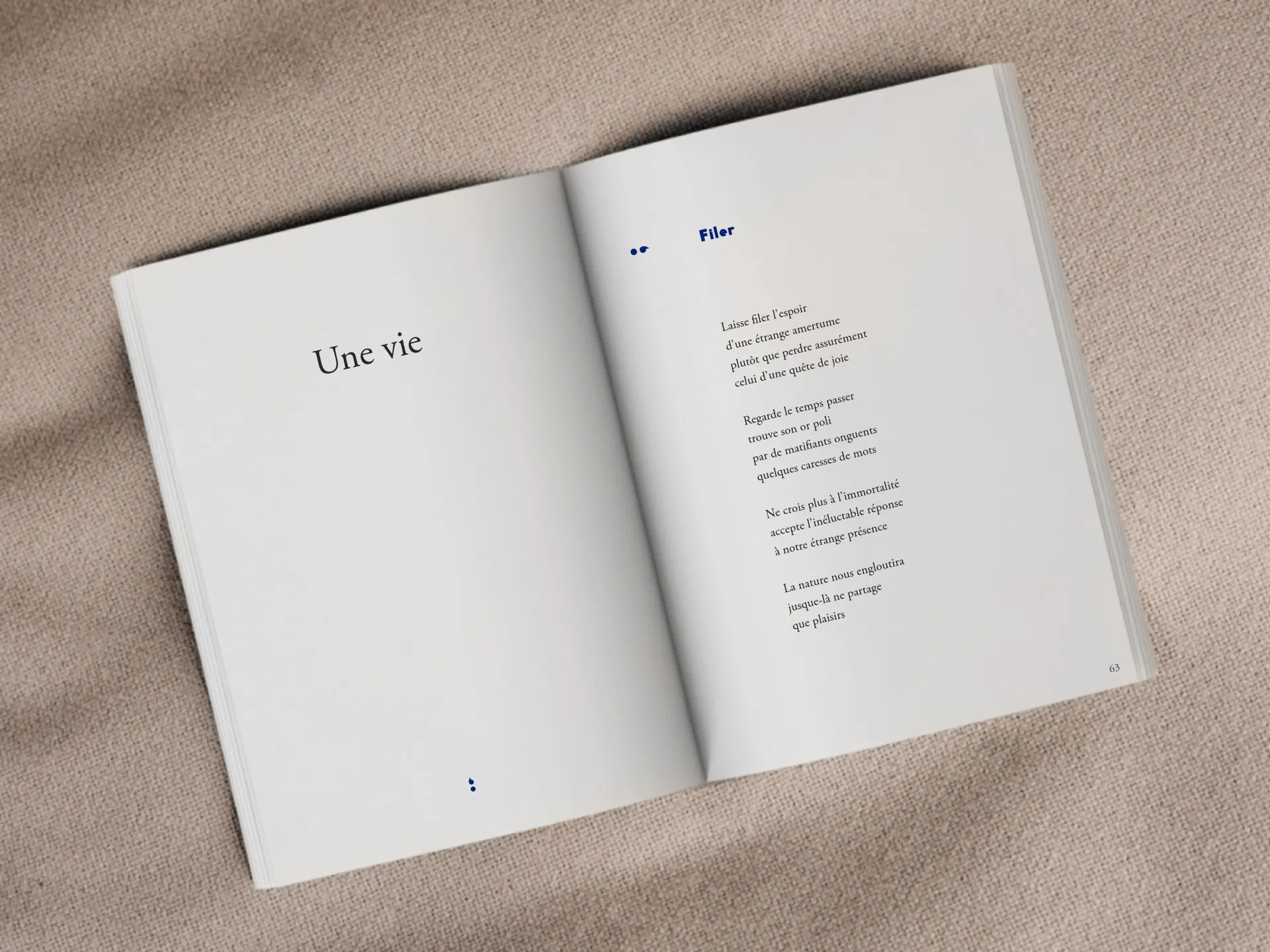 Cover of the book