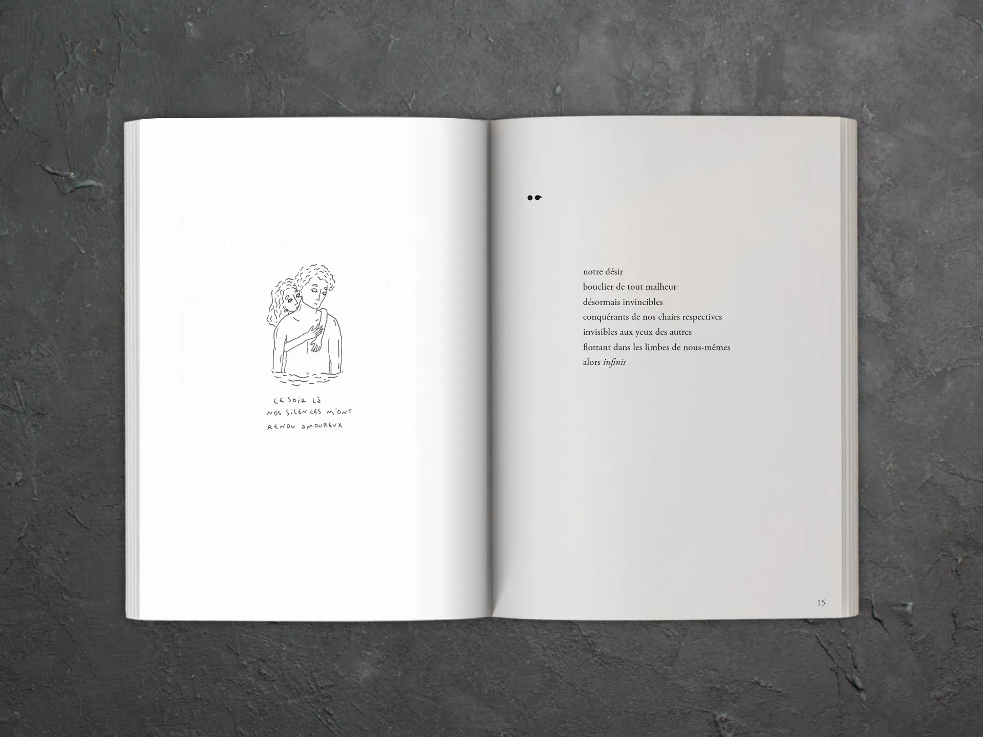Cover of the book