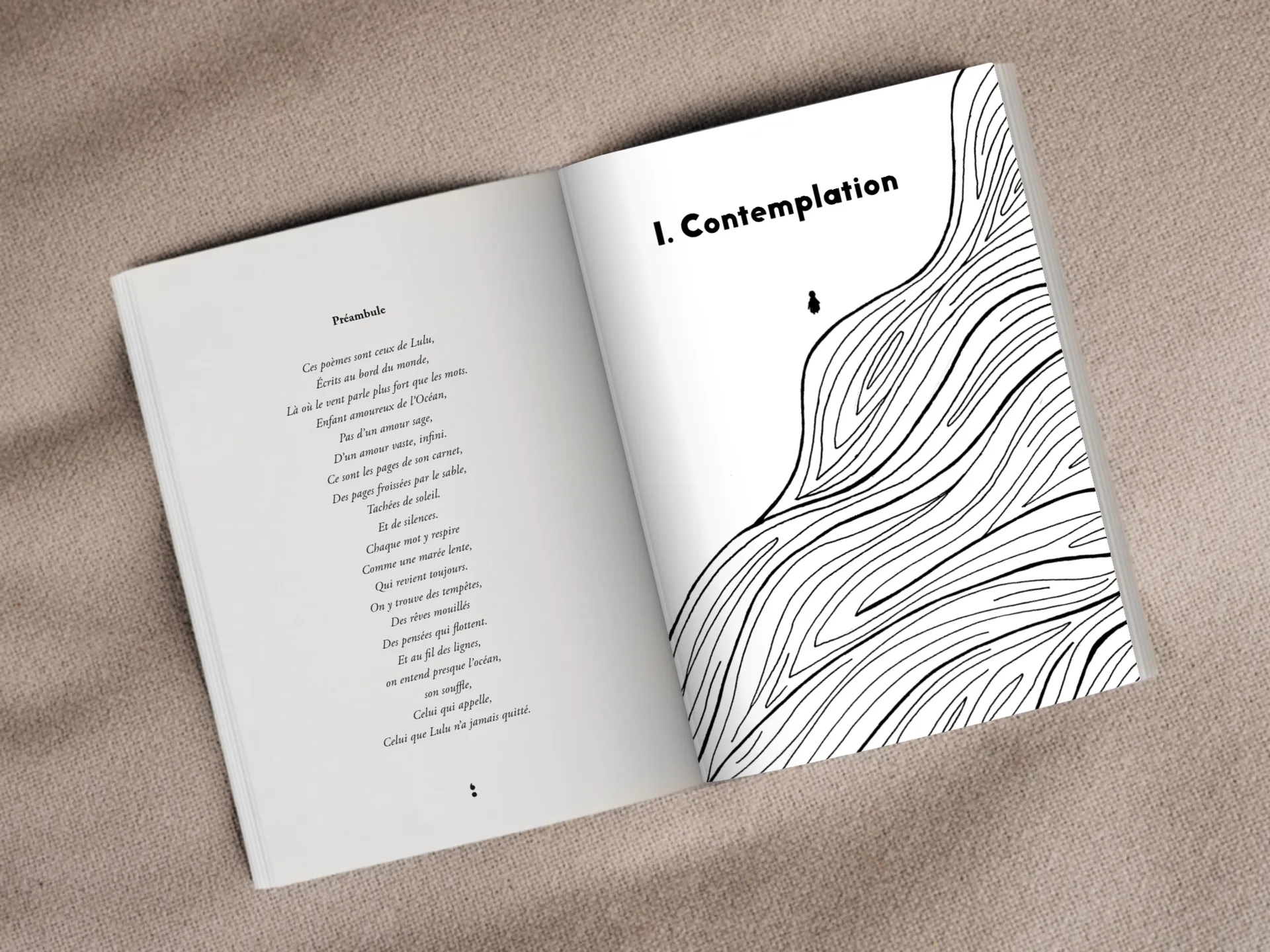 Cover of the book