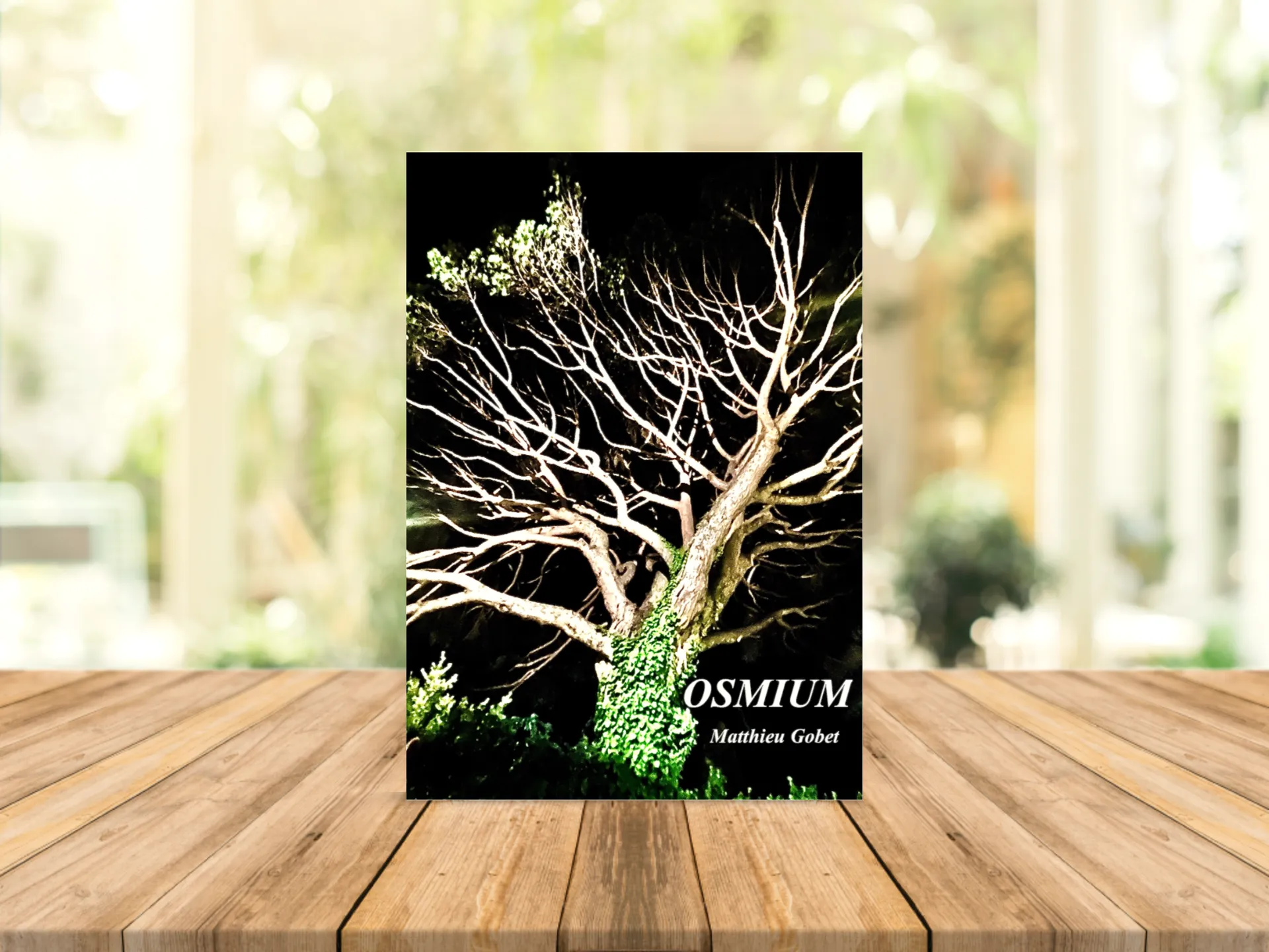 Cover of the book
