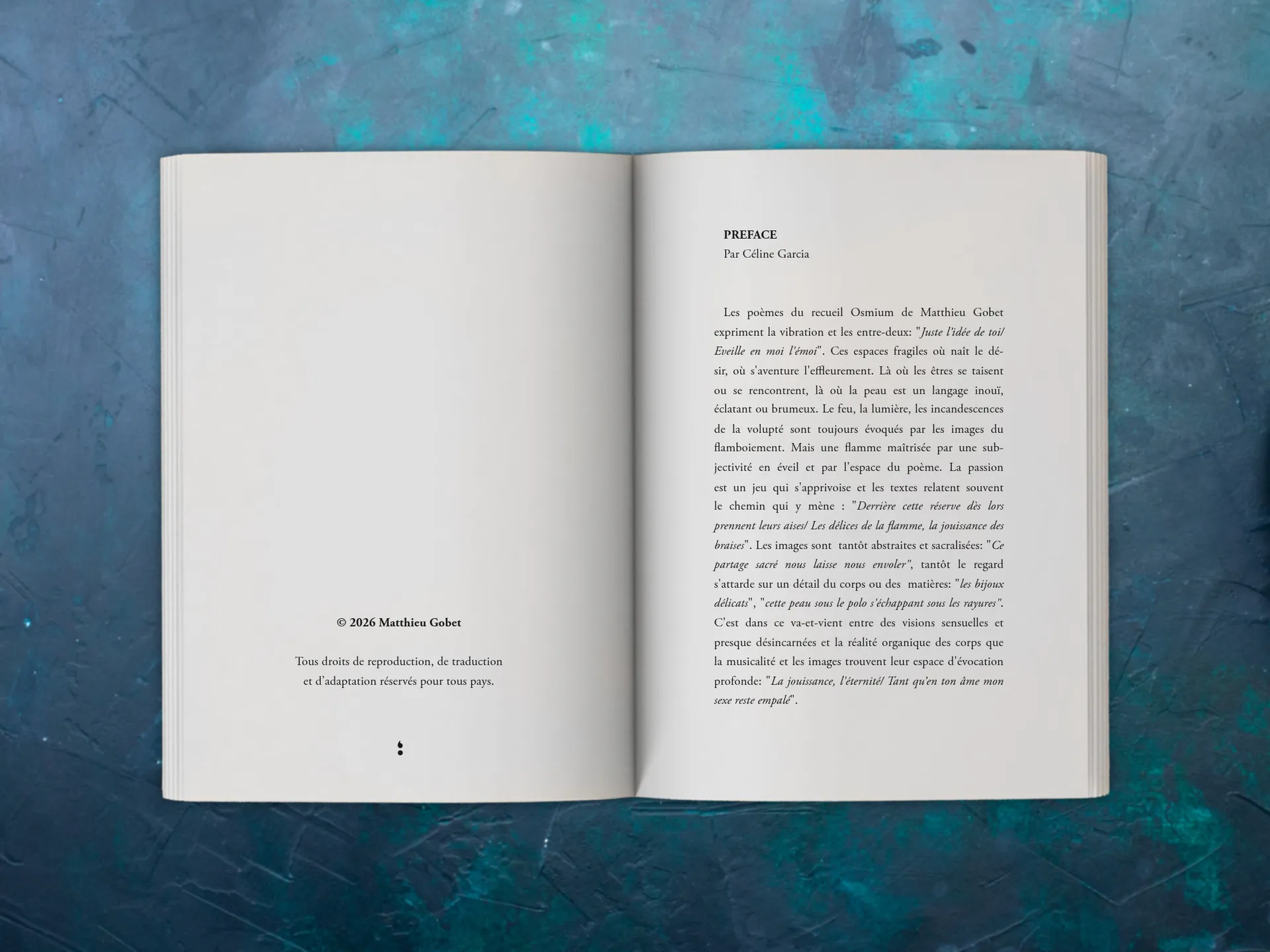 Cover of the book
