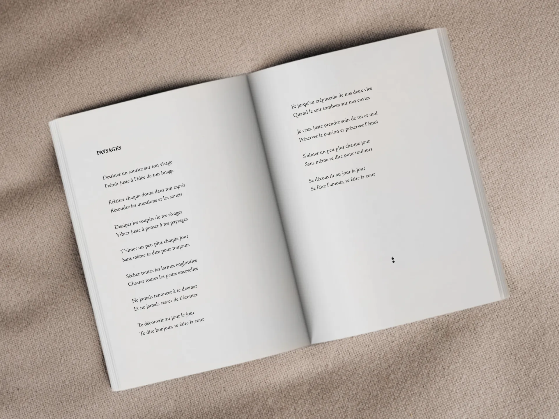 Cover of the book