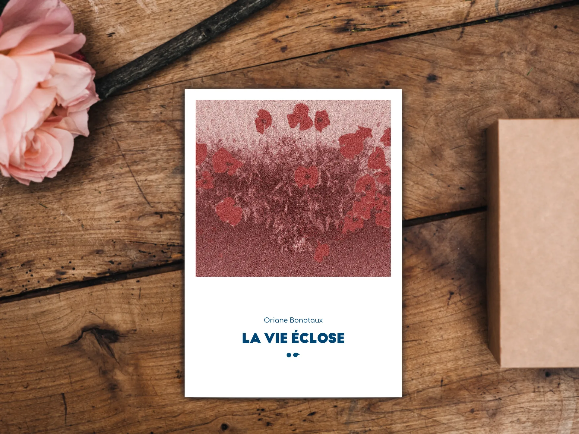 Cover of the book