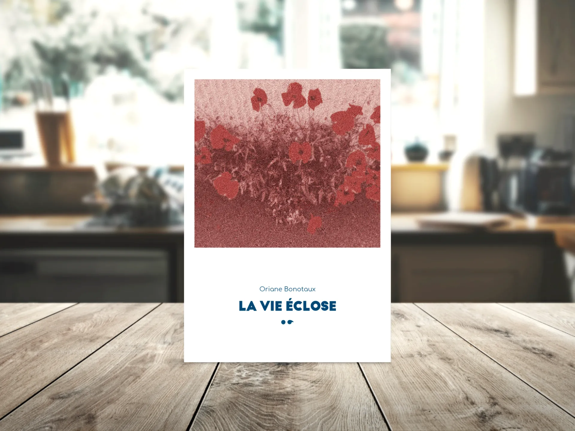 Cover of the book