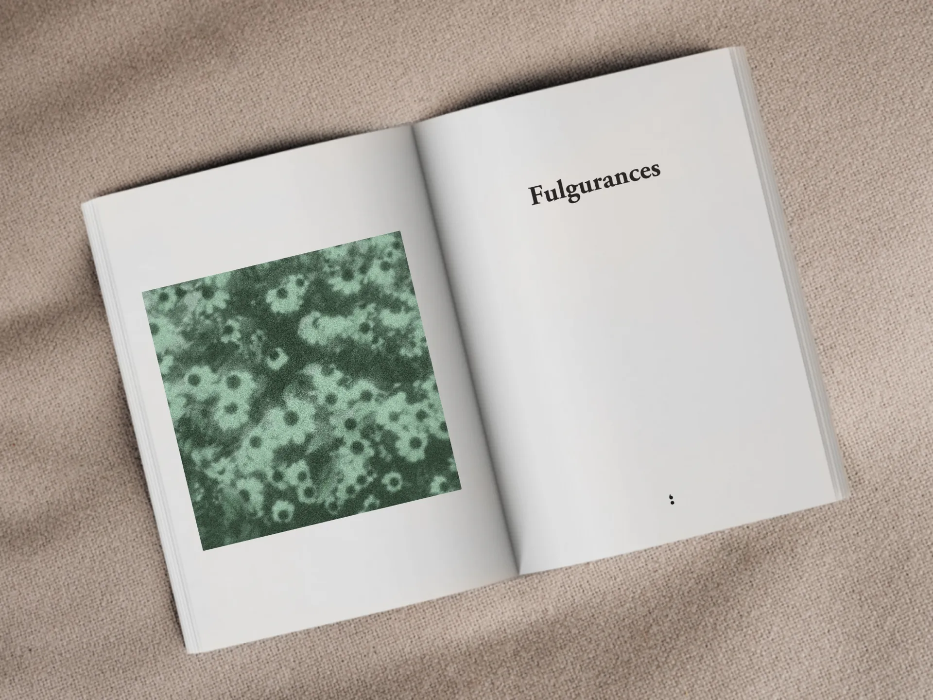 Cover of the book