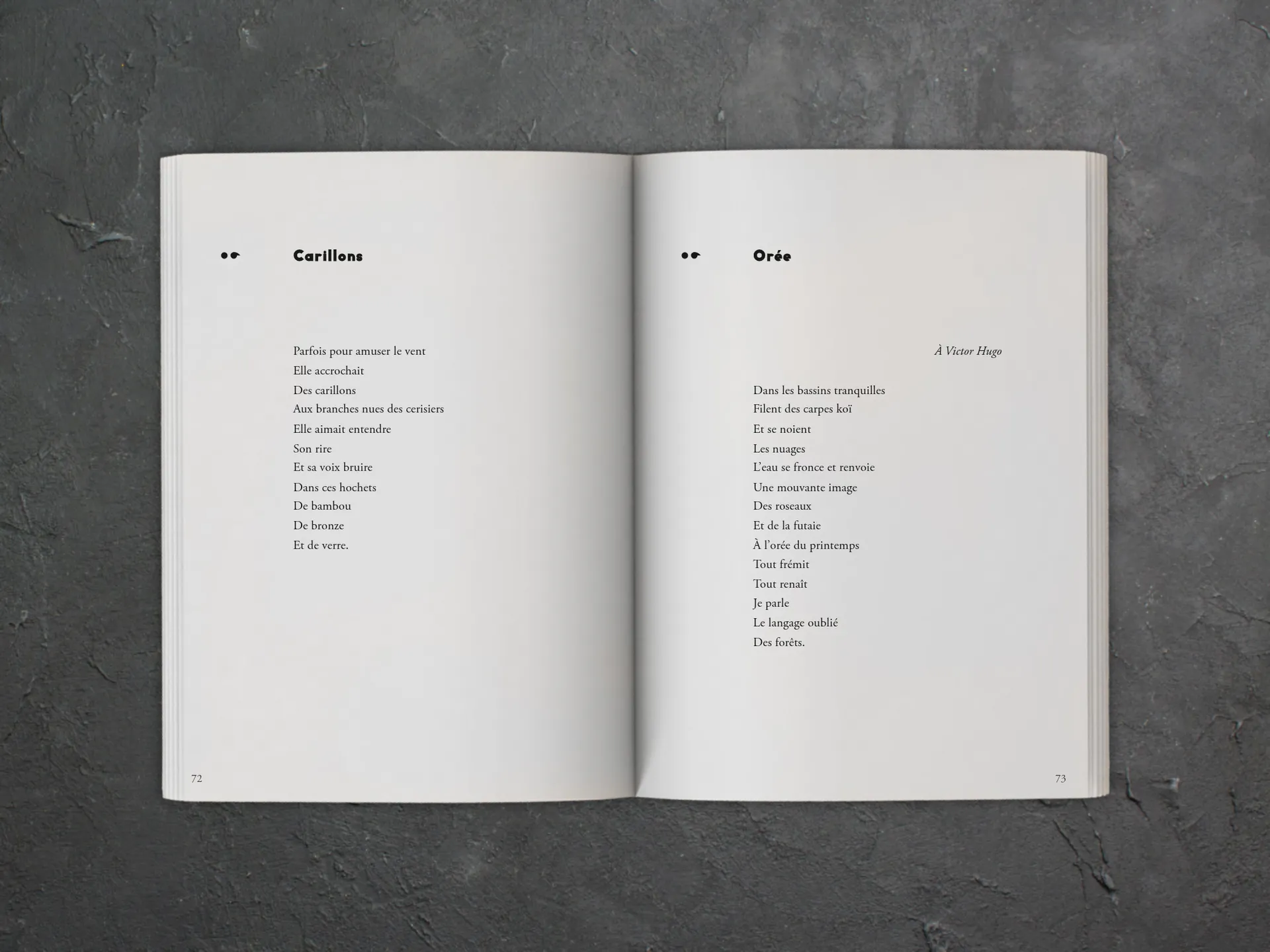 Cover of the book