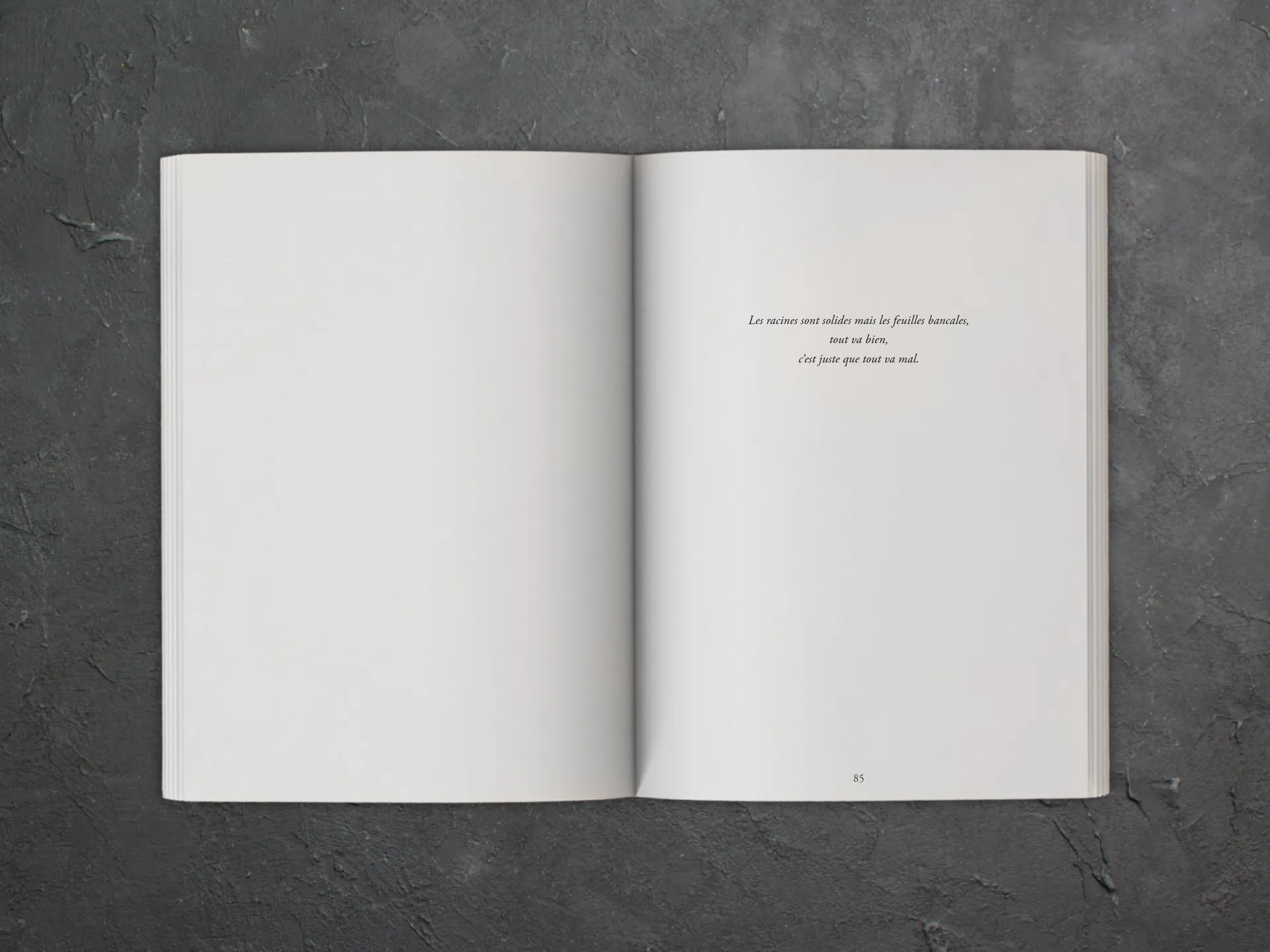 Cover of the book