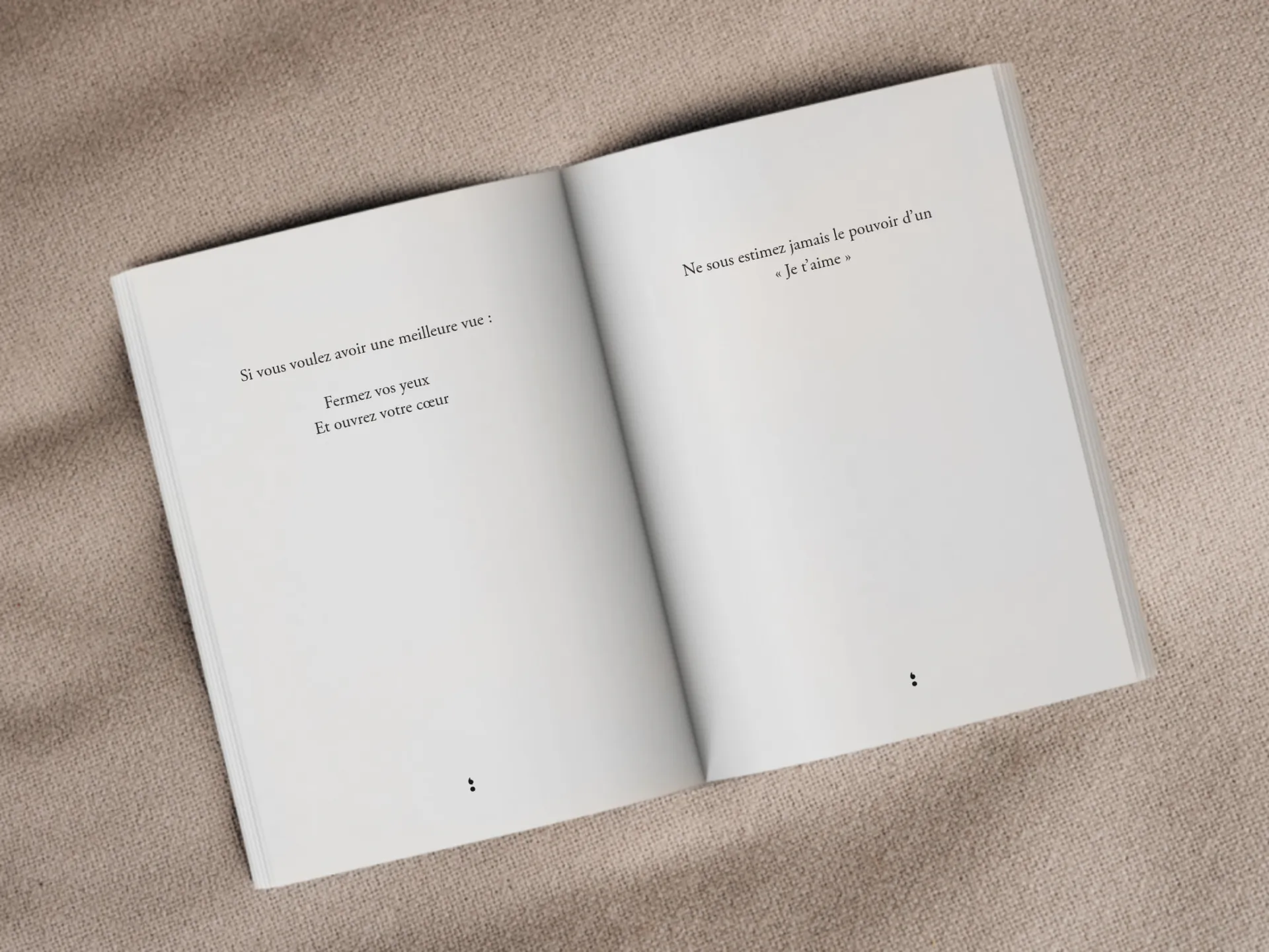 Cover of the book
