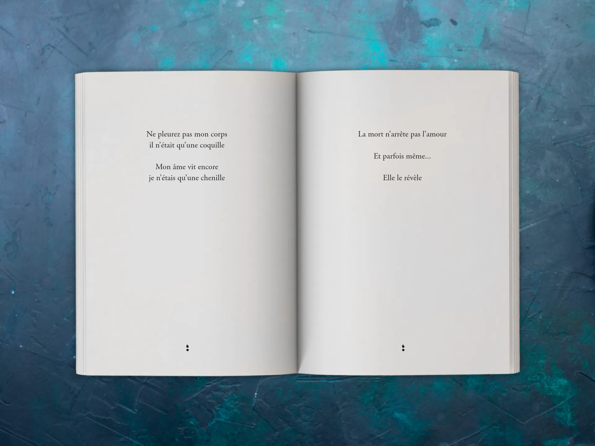 Cover of the book