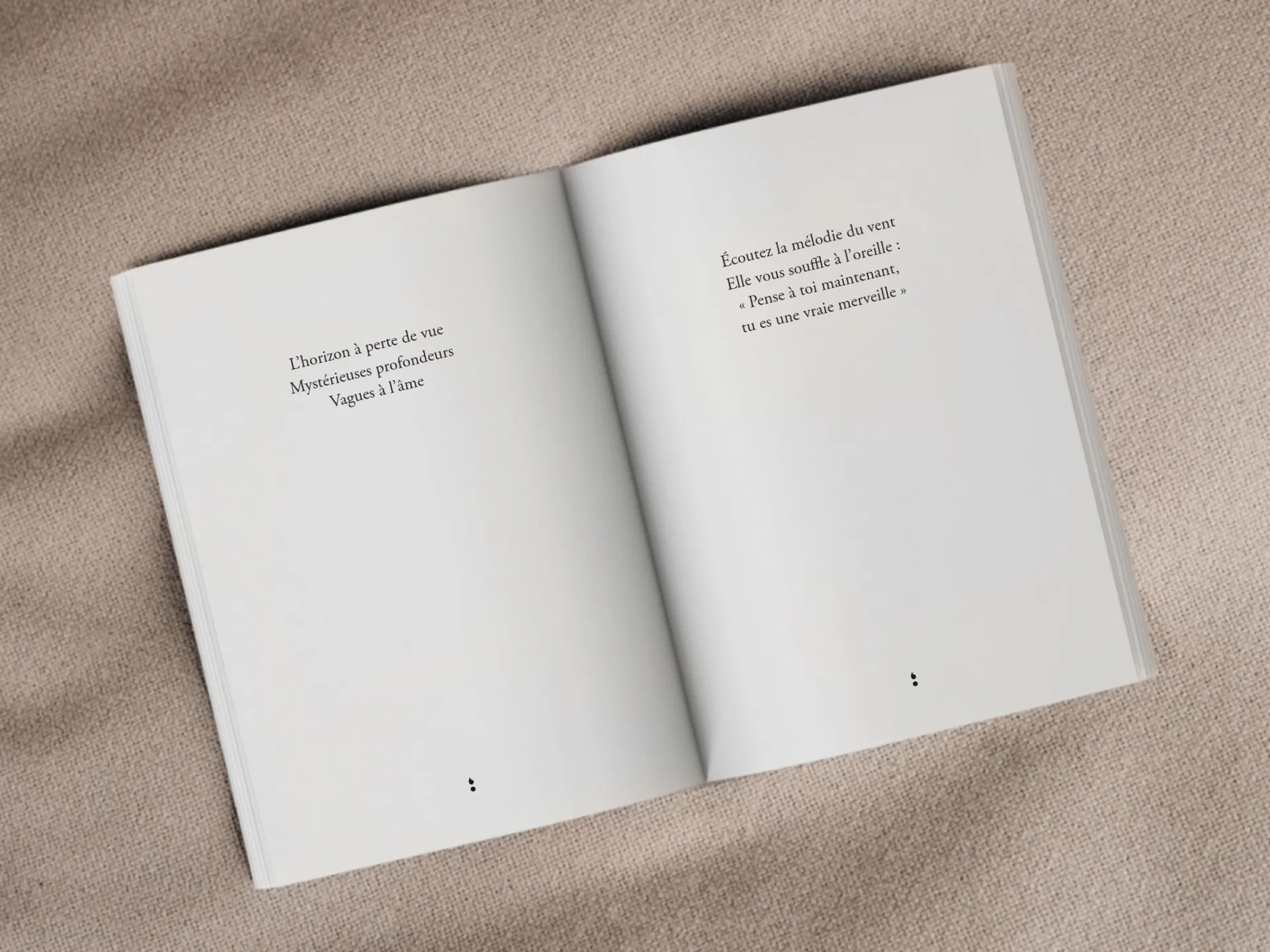 Cover of the book