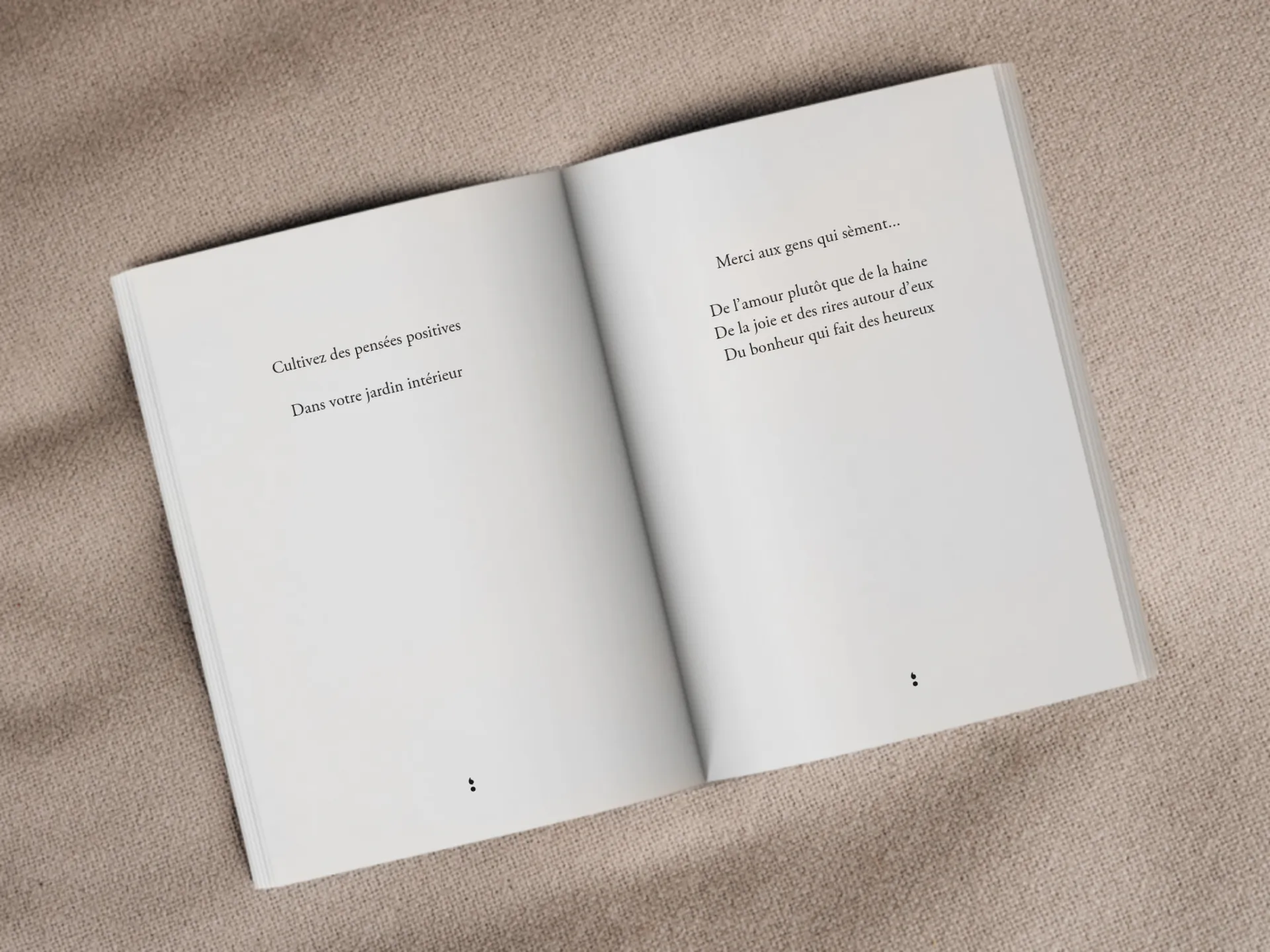 Cover of the book