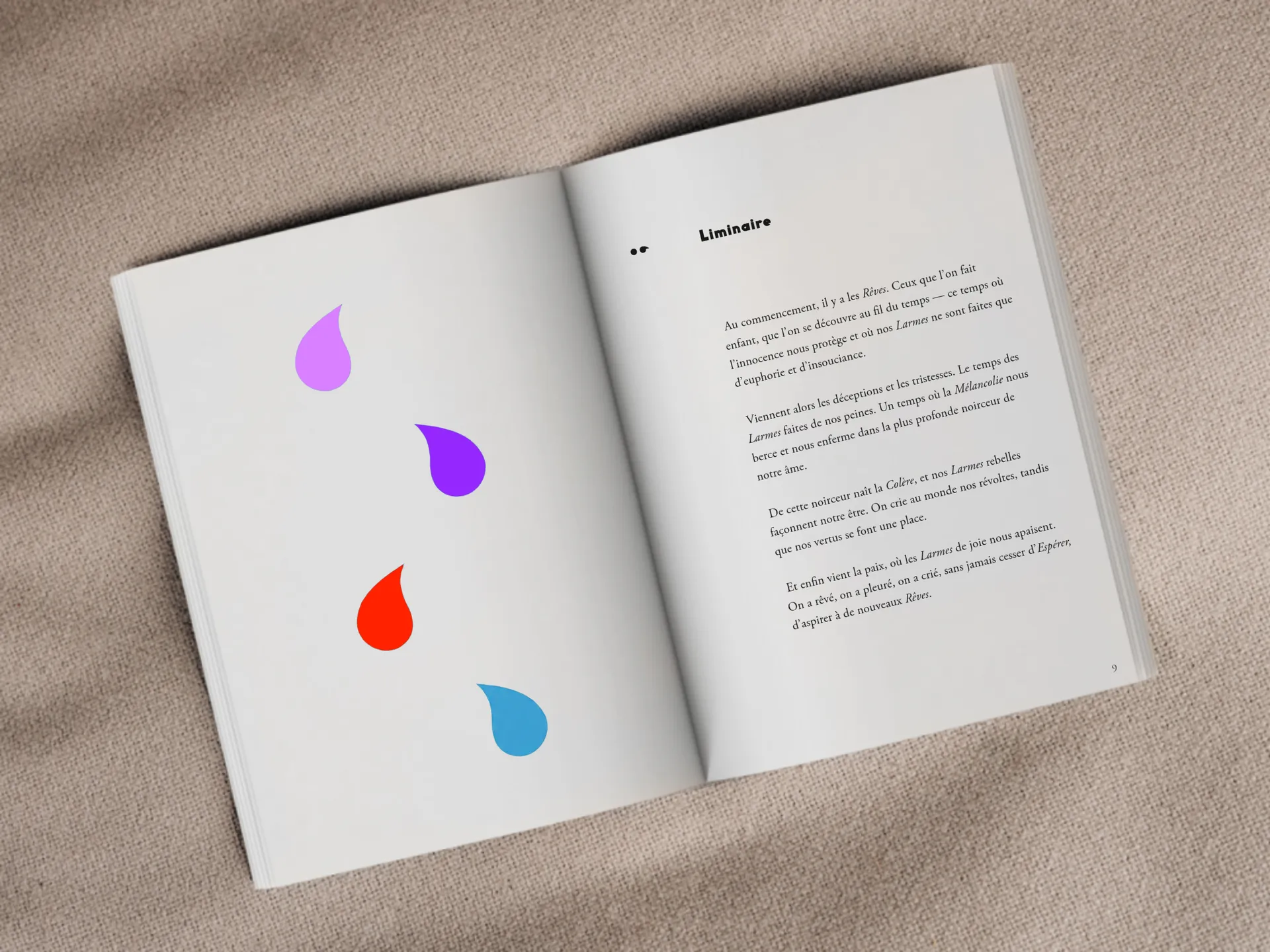 Cover of the book