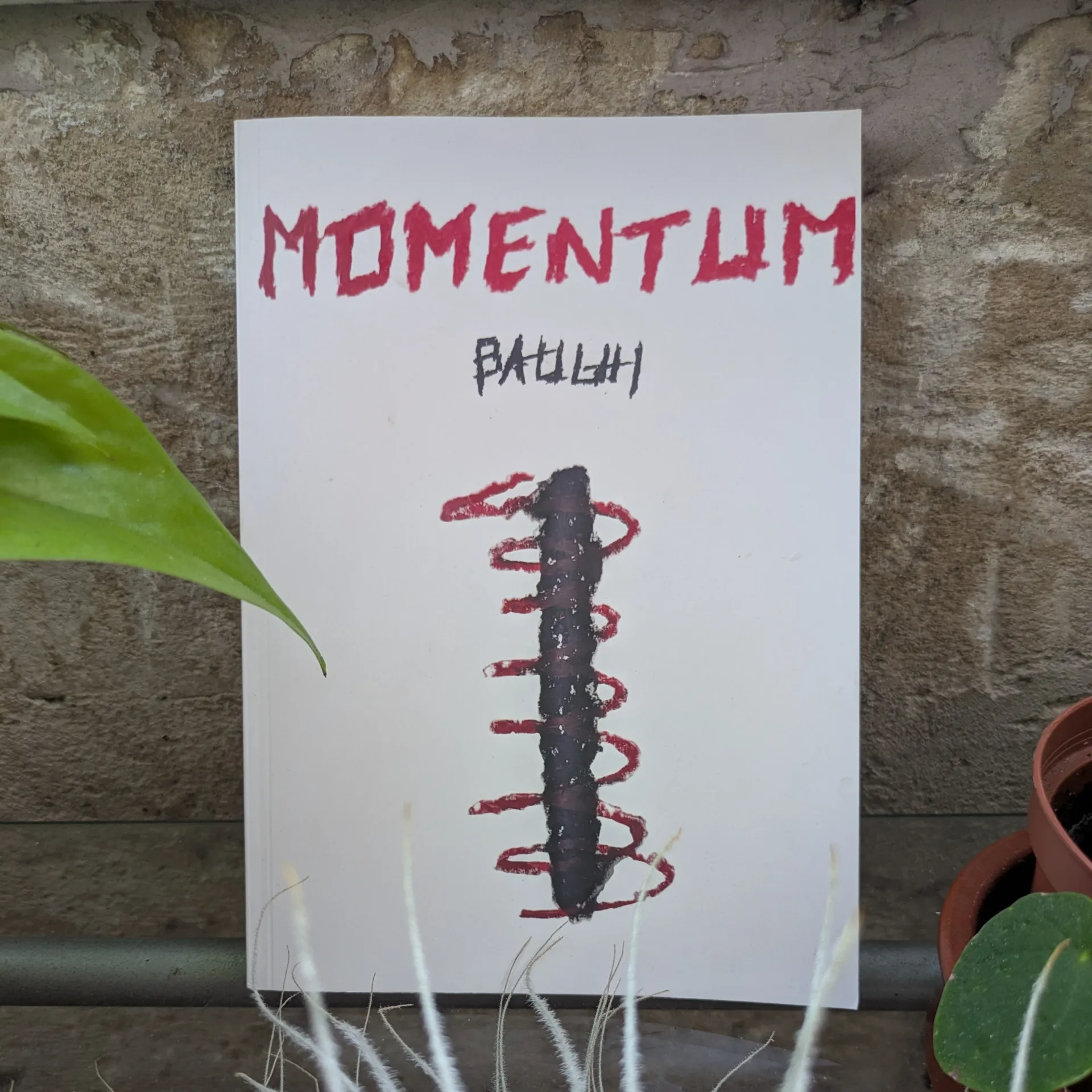 Cover of the book