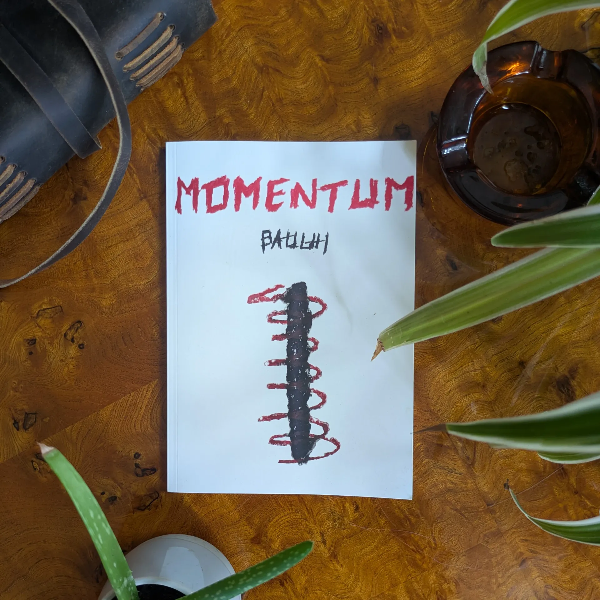 Cover of the book