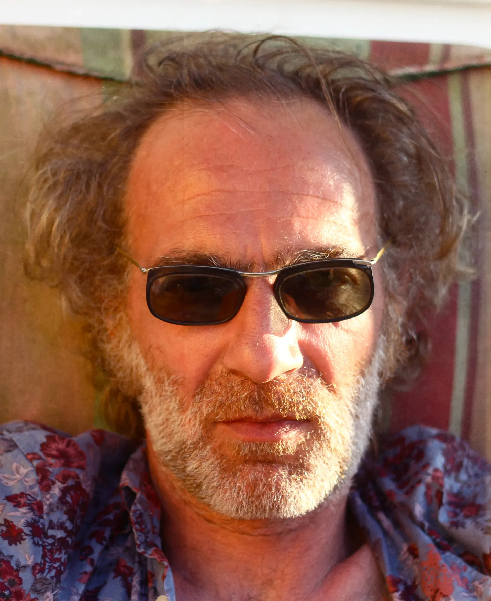 Portrait of the author